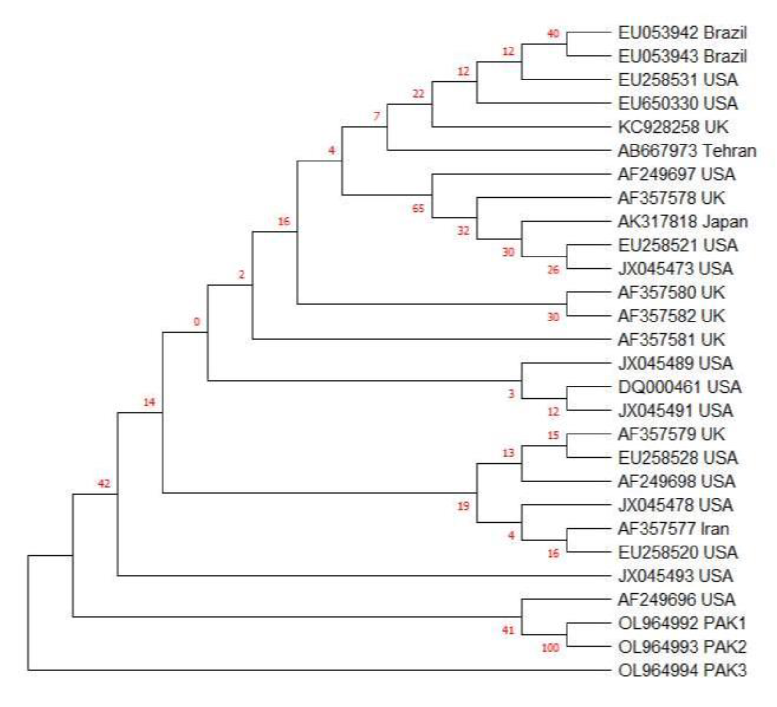 Pathogens 11 00437 g004