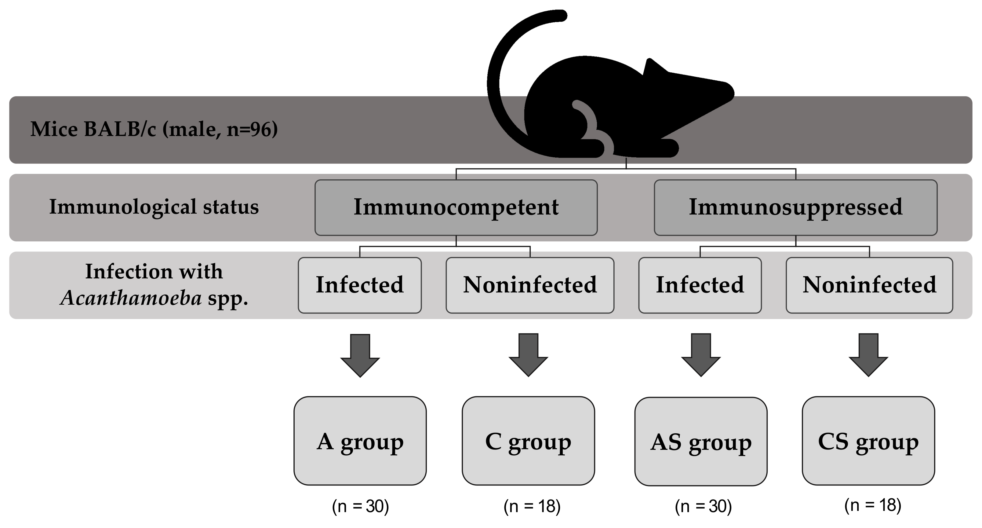 Pathogens 11 00438 g003