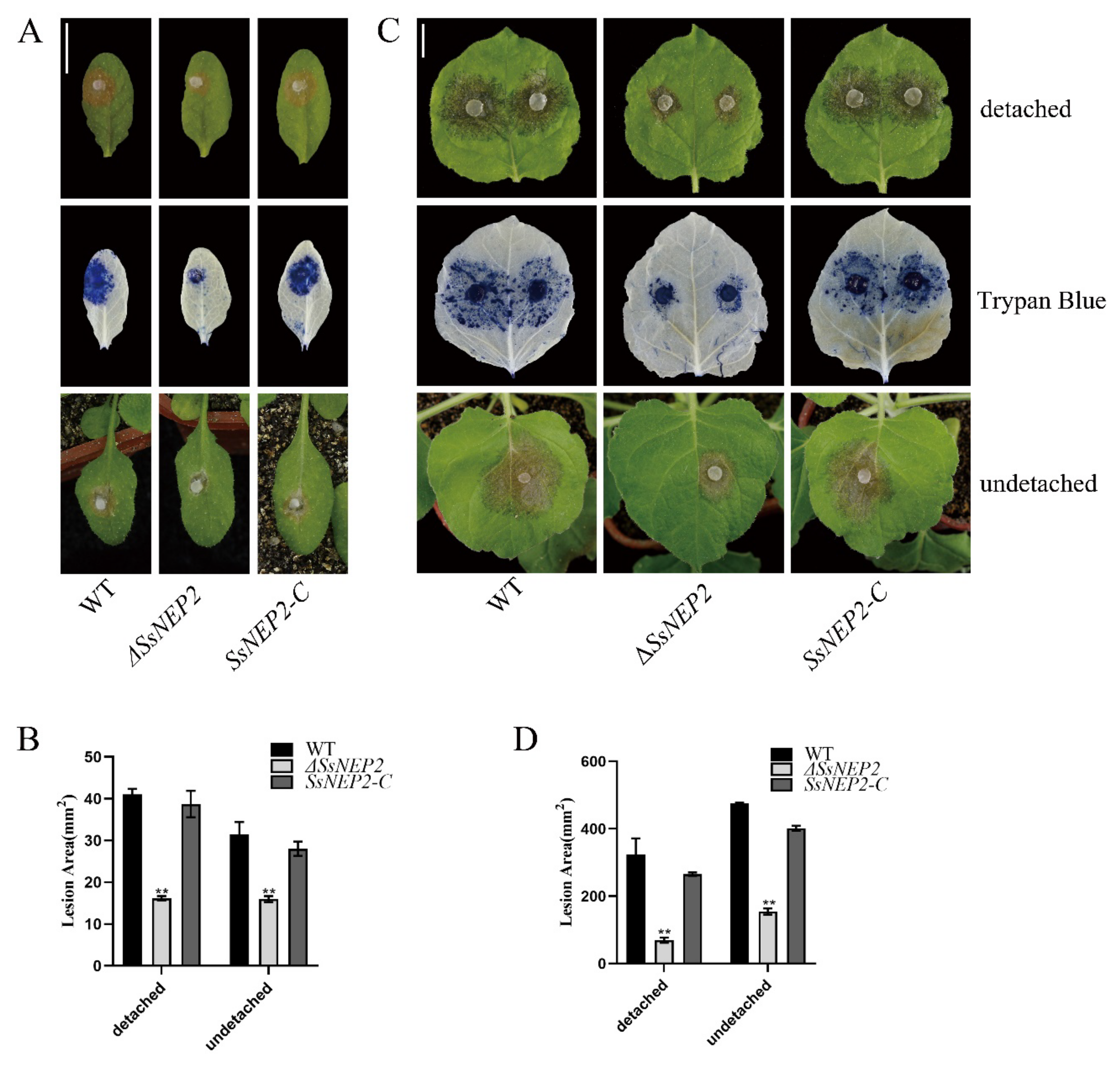 Pathogens 11 00446 g003