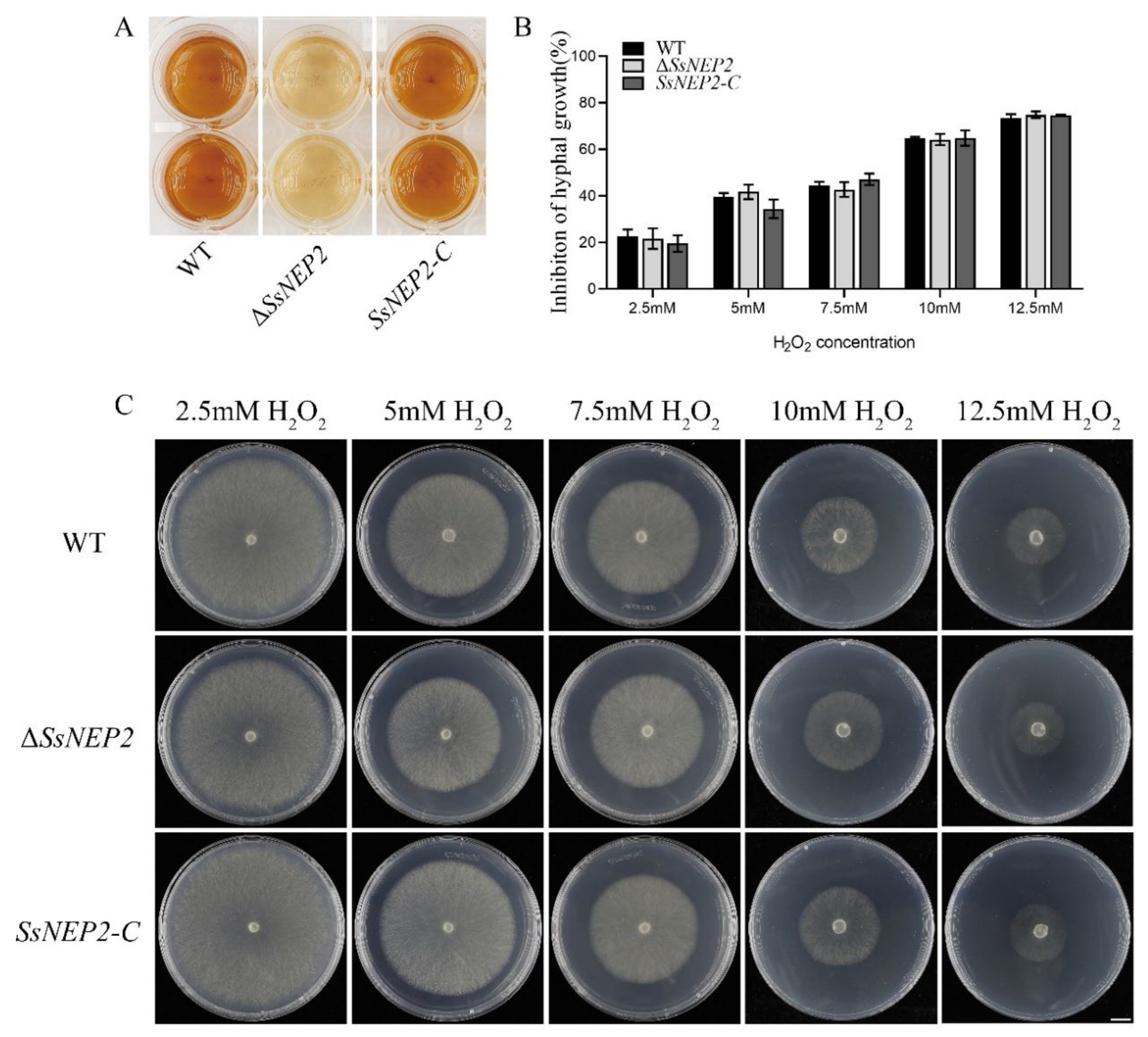 Pathogens 11 00446 g005