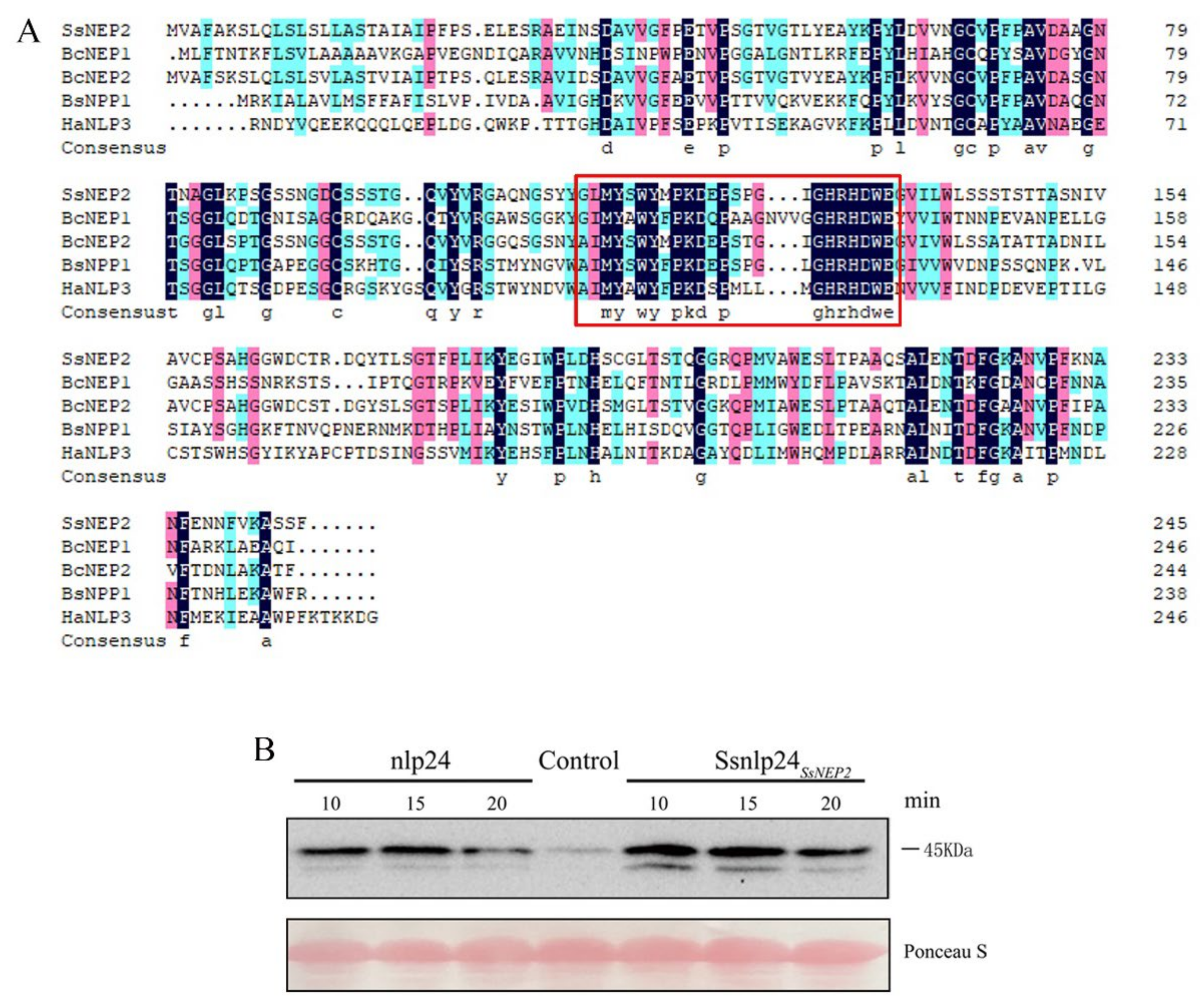 Pathogens 11 00446 g006