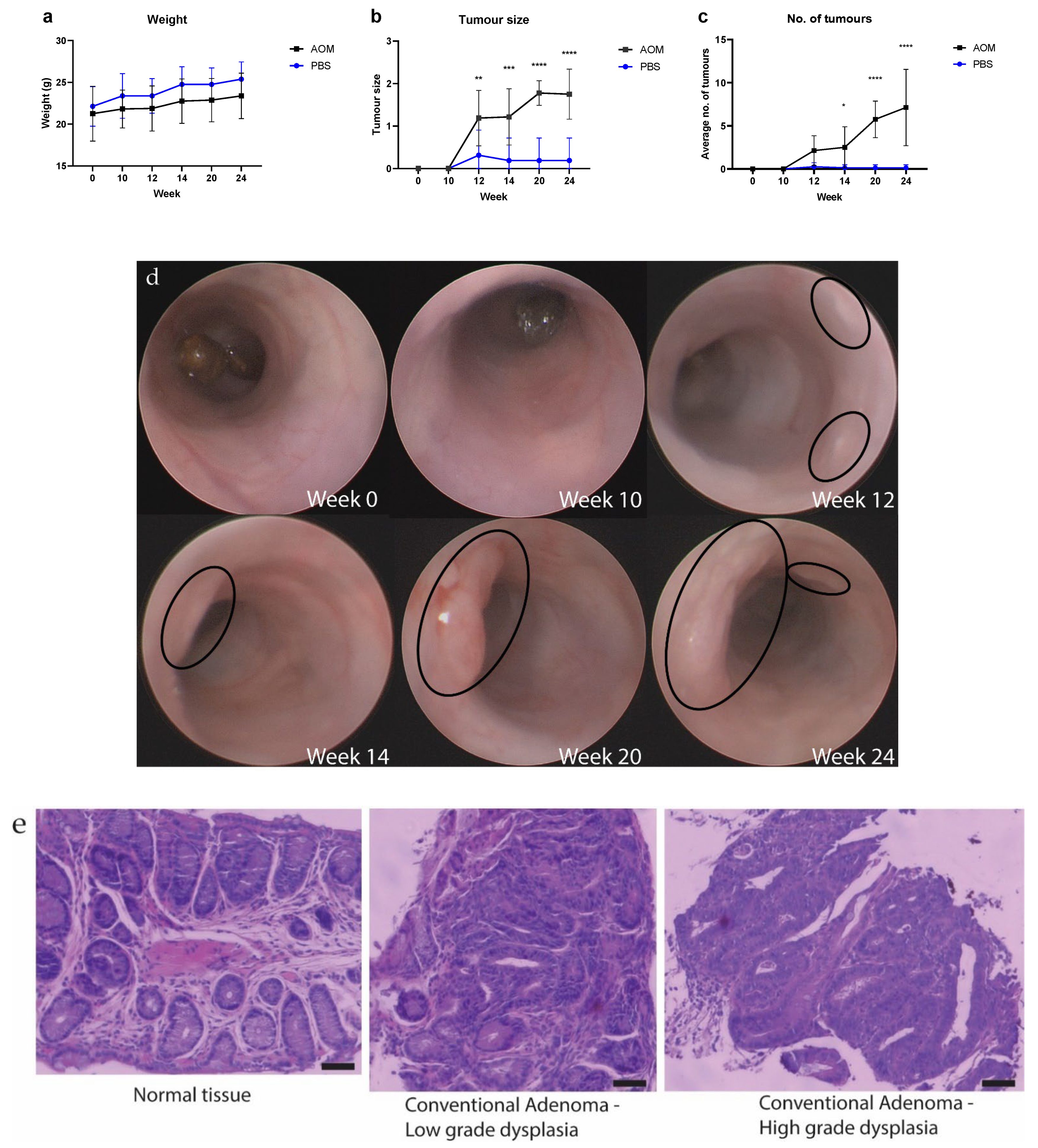 Pathogens 11 00457 g001