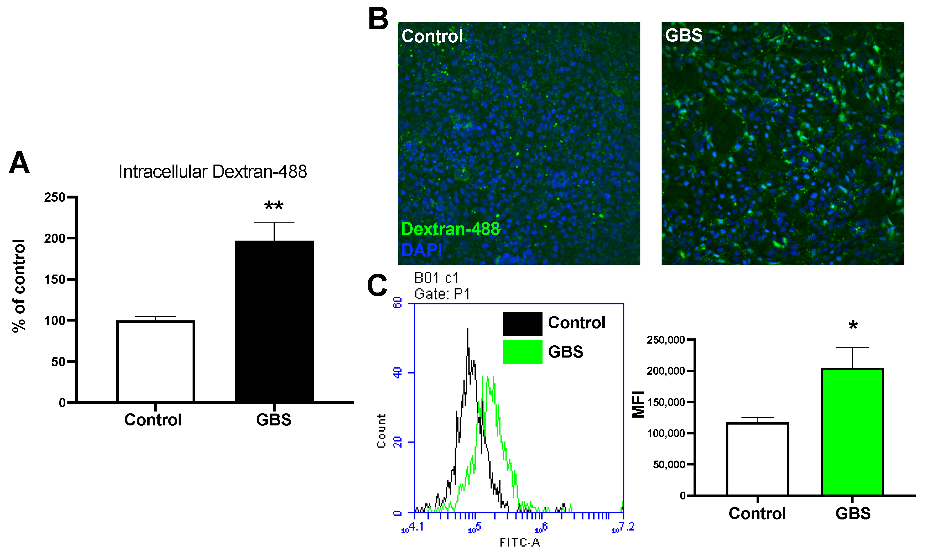 Pathogens 11 00474 g001