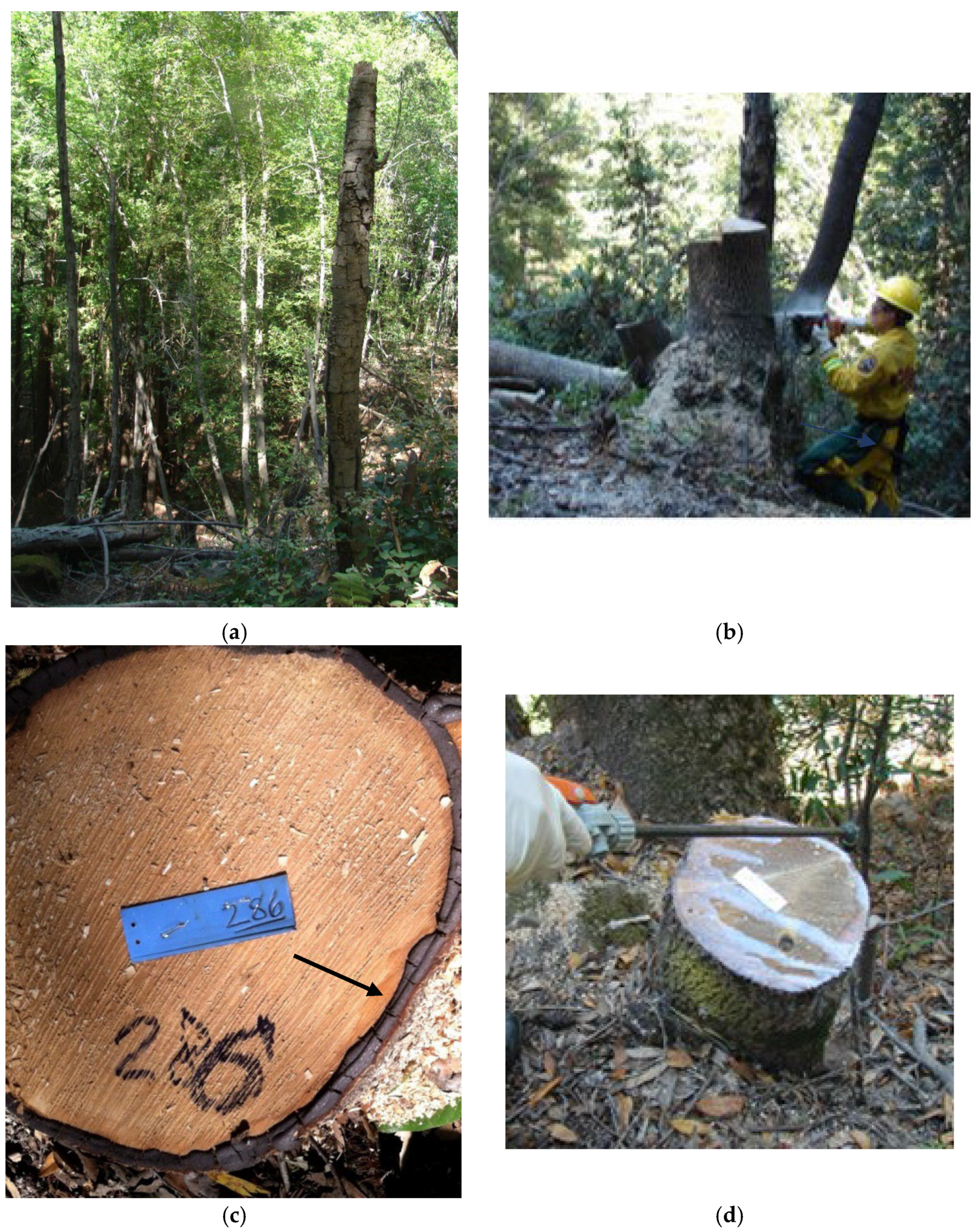 Pathogens 11 00485 g007