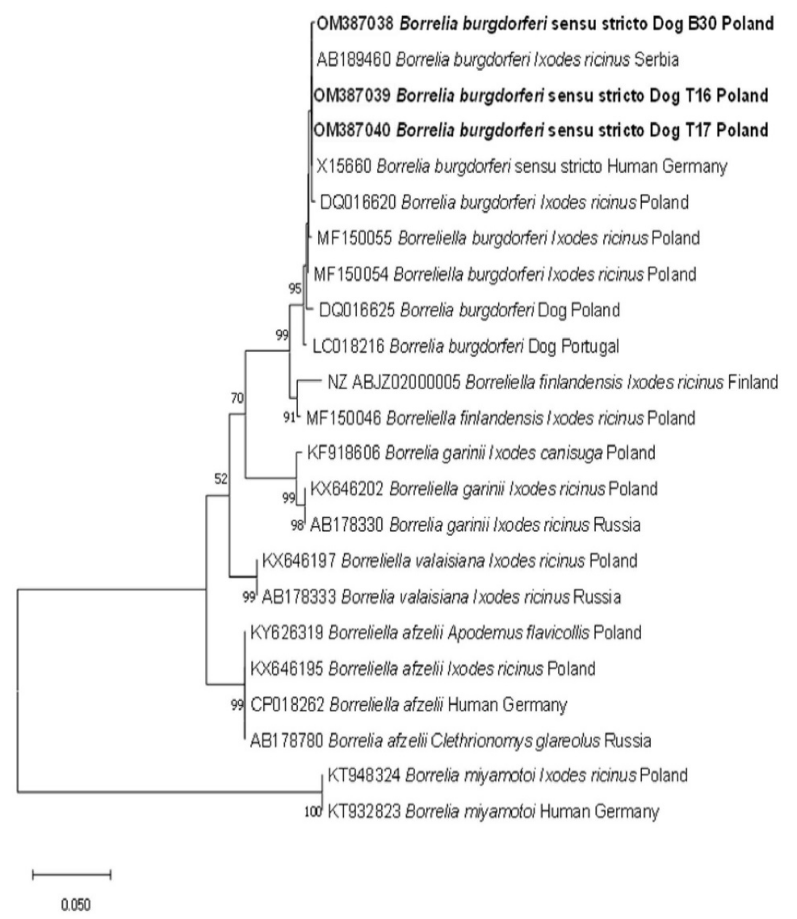 Pathogens 11 00499 g001 Pathogens 11 00499 g001