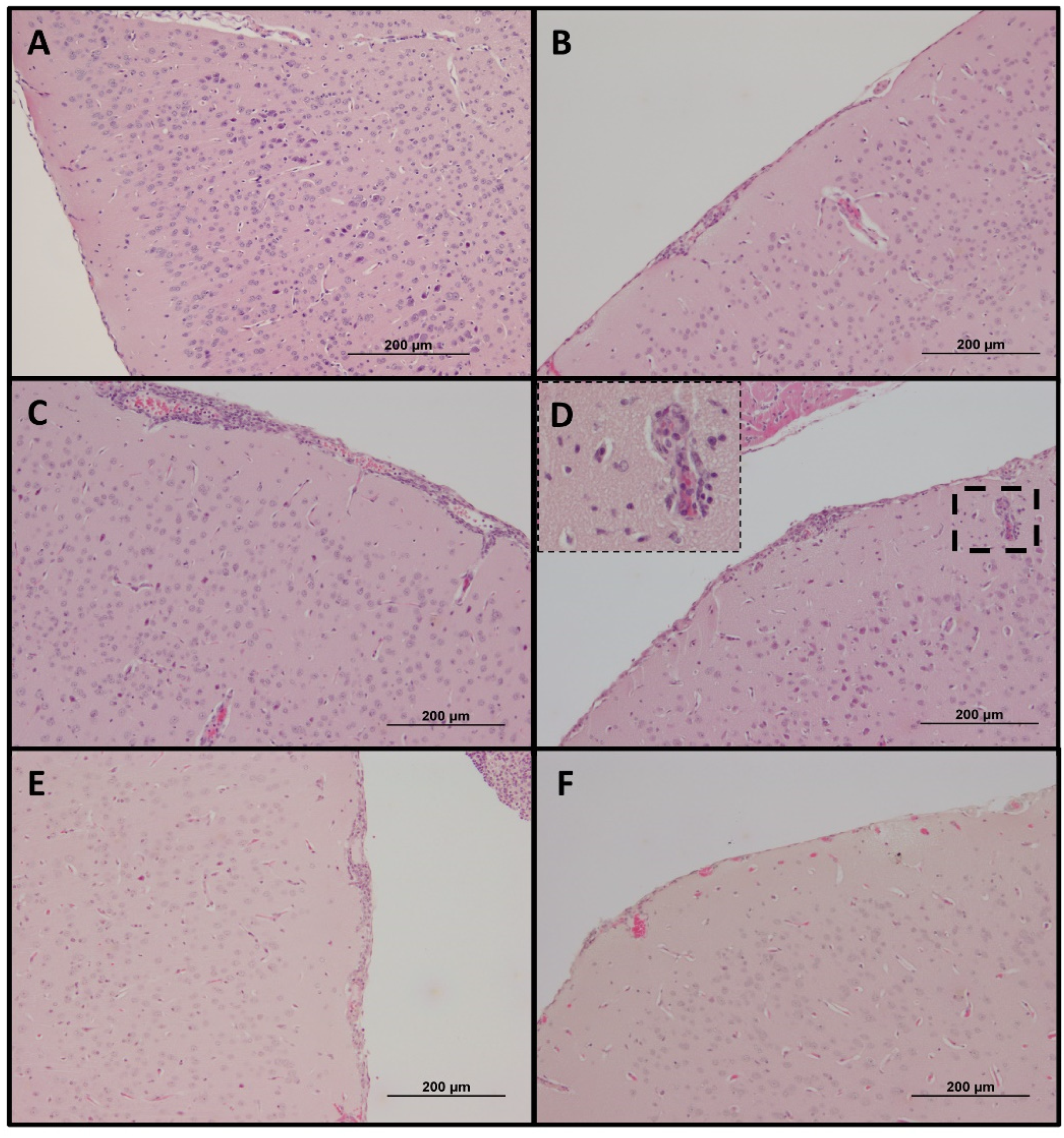 Pathogens 11 00512 g008