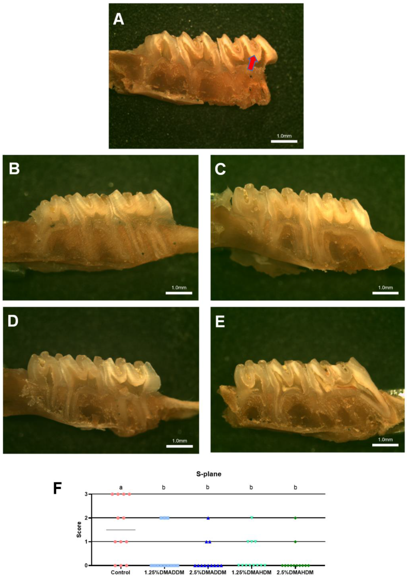 Pathogens 11 00578 g006a
