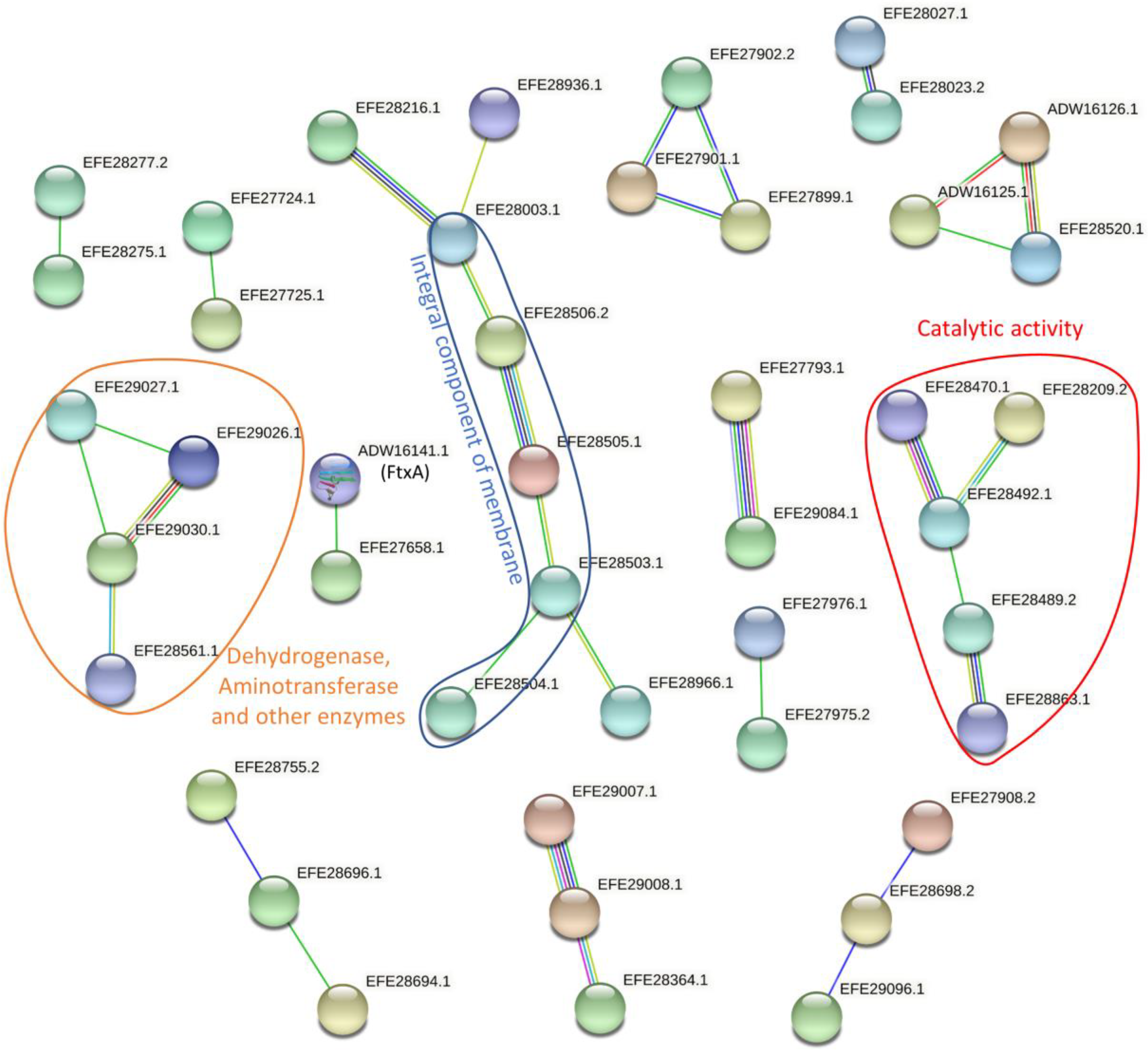 Pathogens 11 00590 g002 Pathogens 11 00590 g002