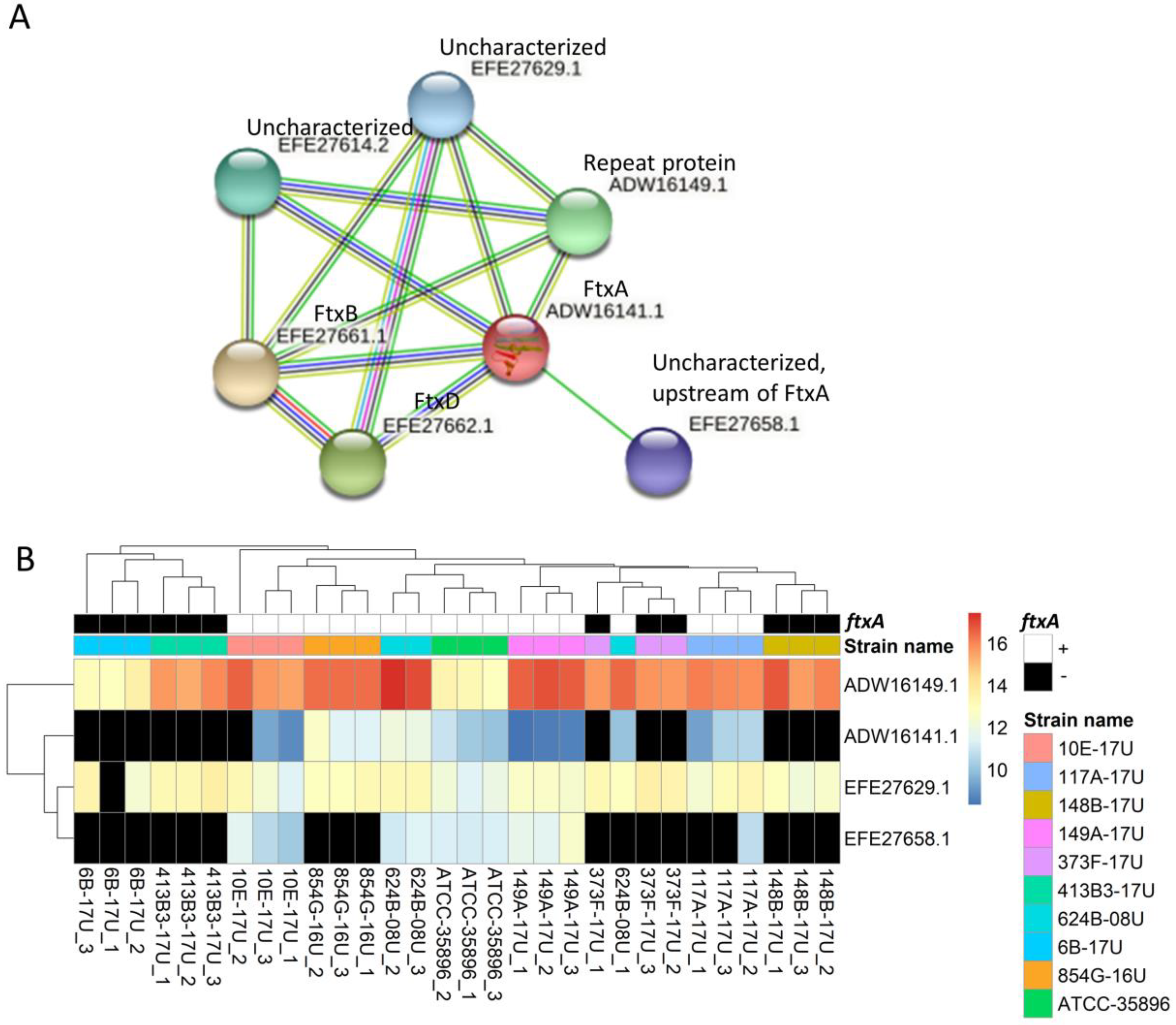 Pathogens 11 00590 g003 Pathogens 11 00590 g003