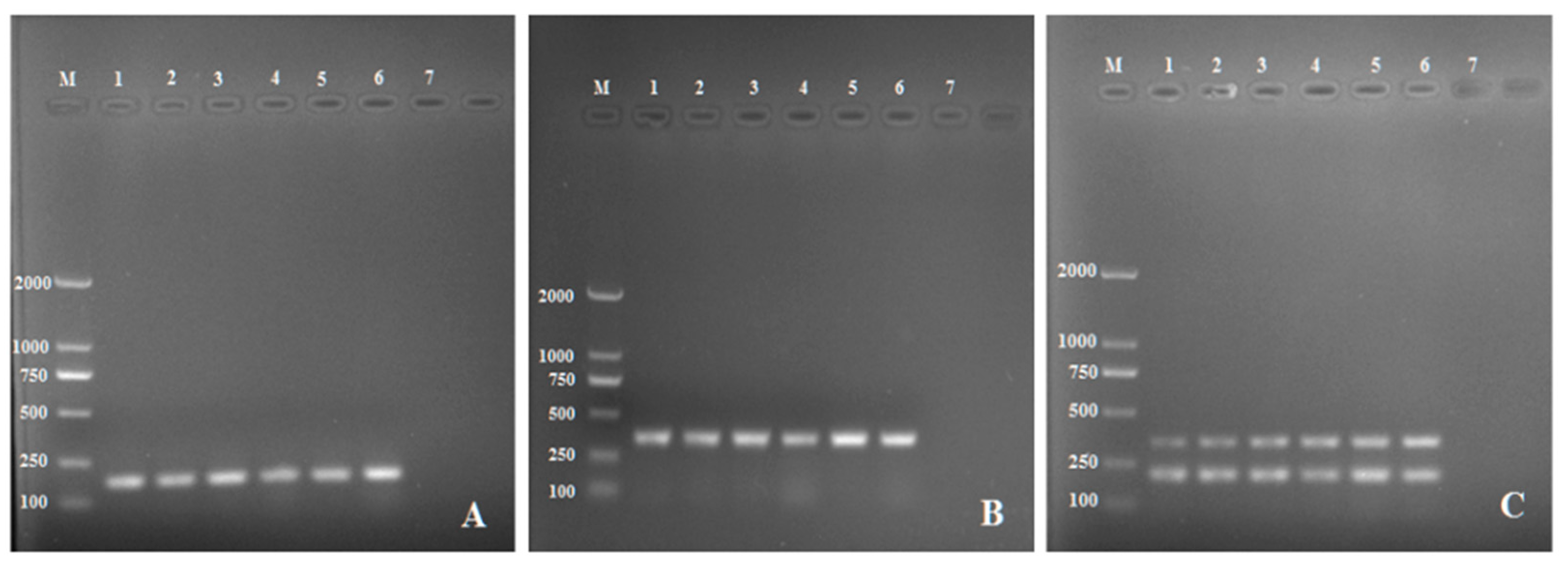 Pathogens 11 00627 g001 Pathogens 11 00627 g001