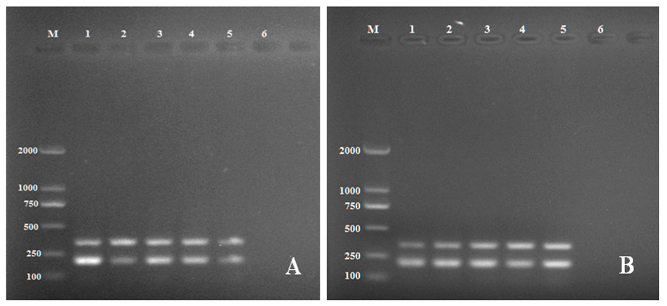 Pathogens 11 00627 g002 Pathogens 11 00627 g002