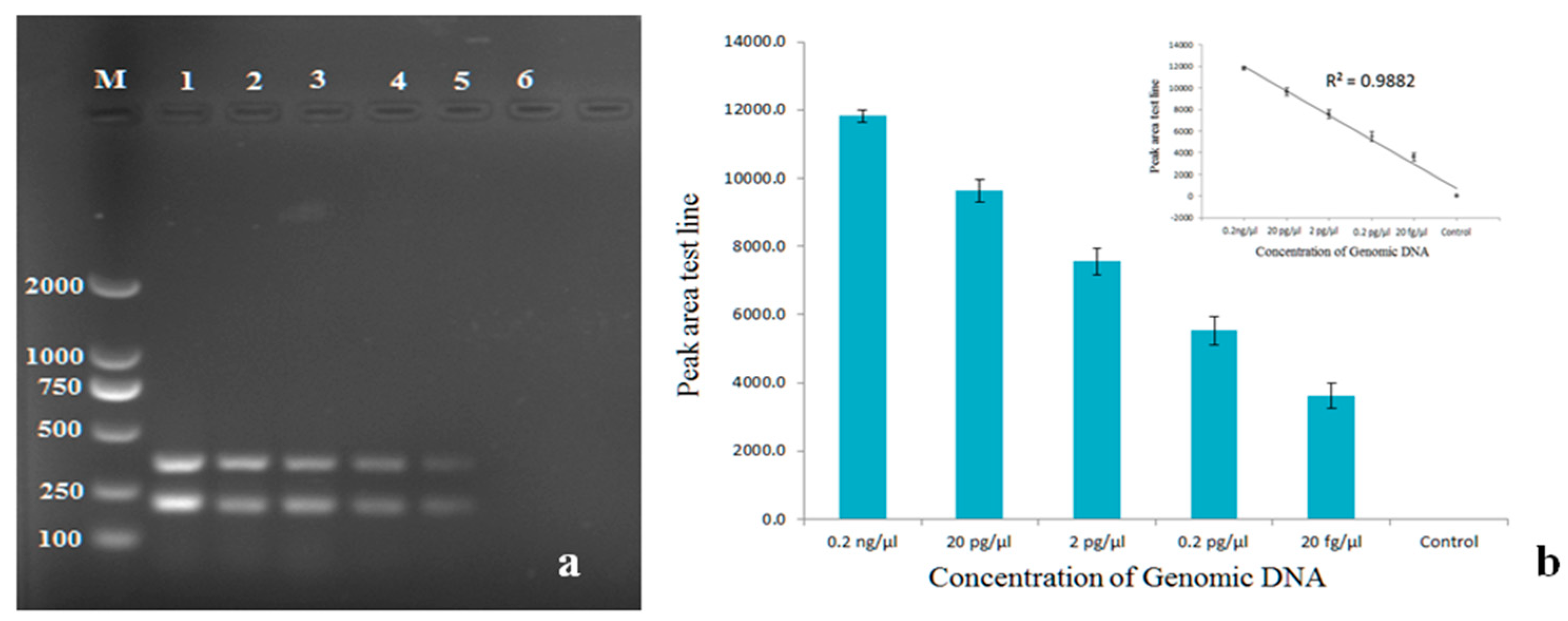 Pathogens 11 00627 g003 Pathogens 11 00627 g003