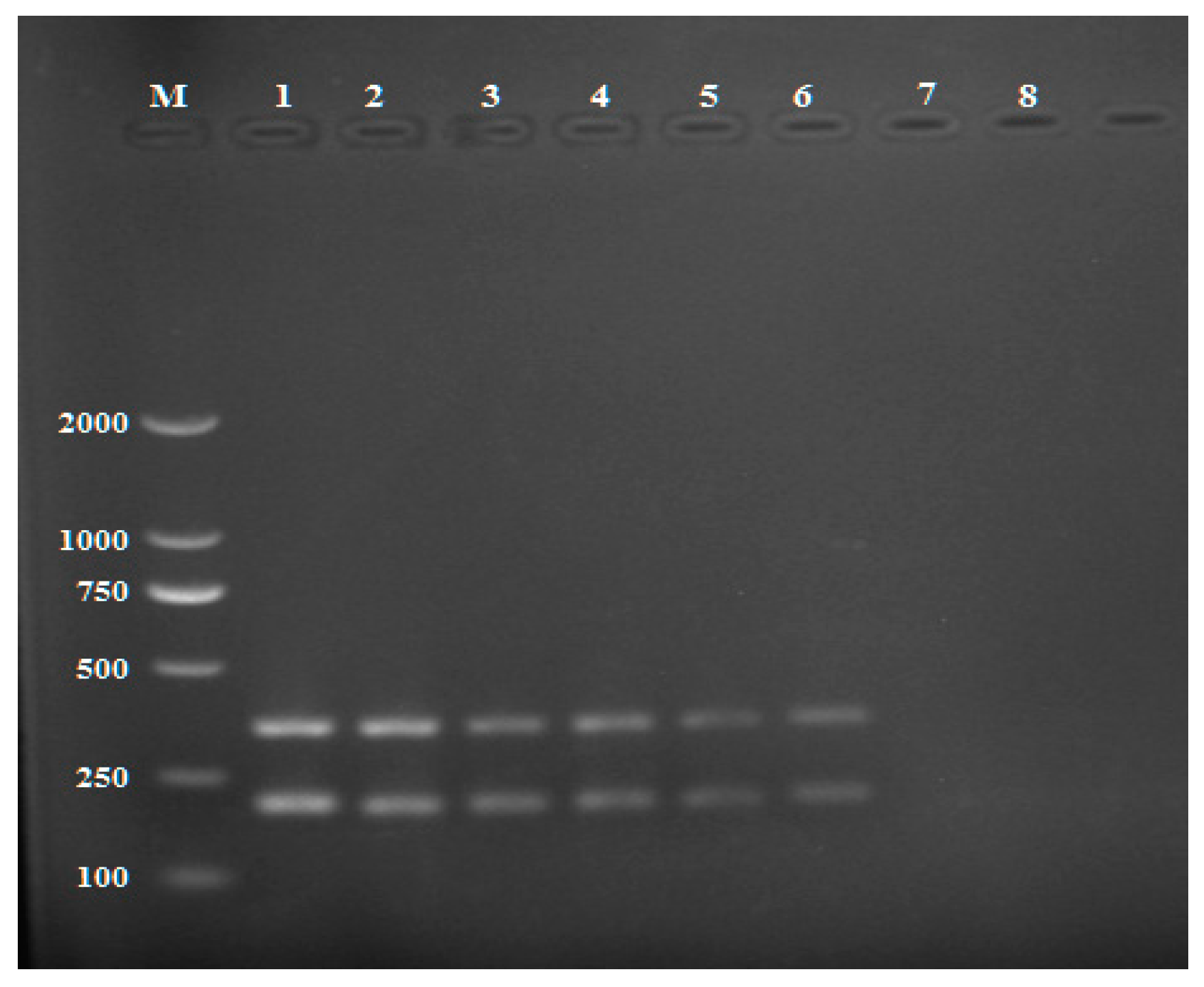 Pathogens 11 00627 g005 Pathogens 11 00627 g005