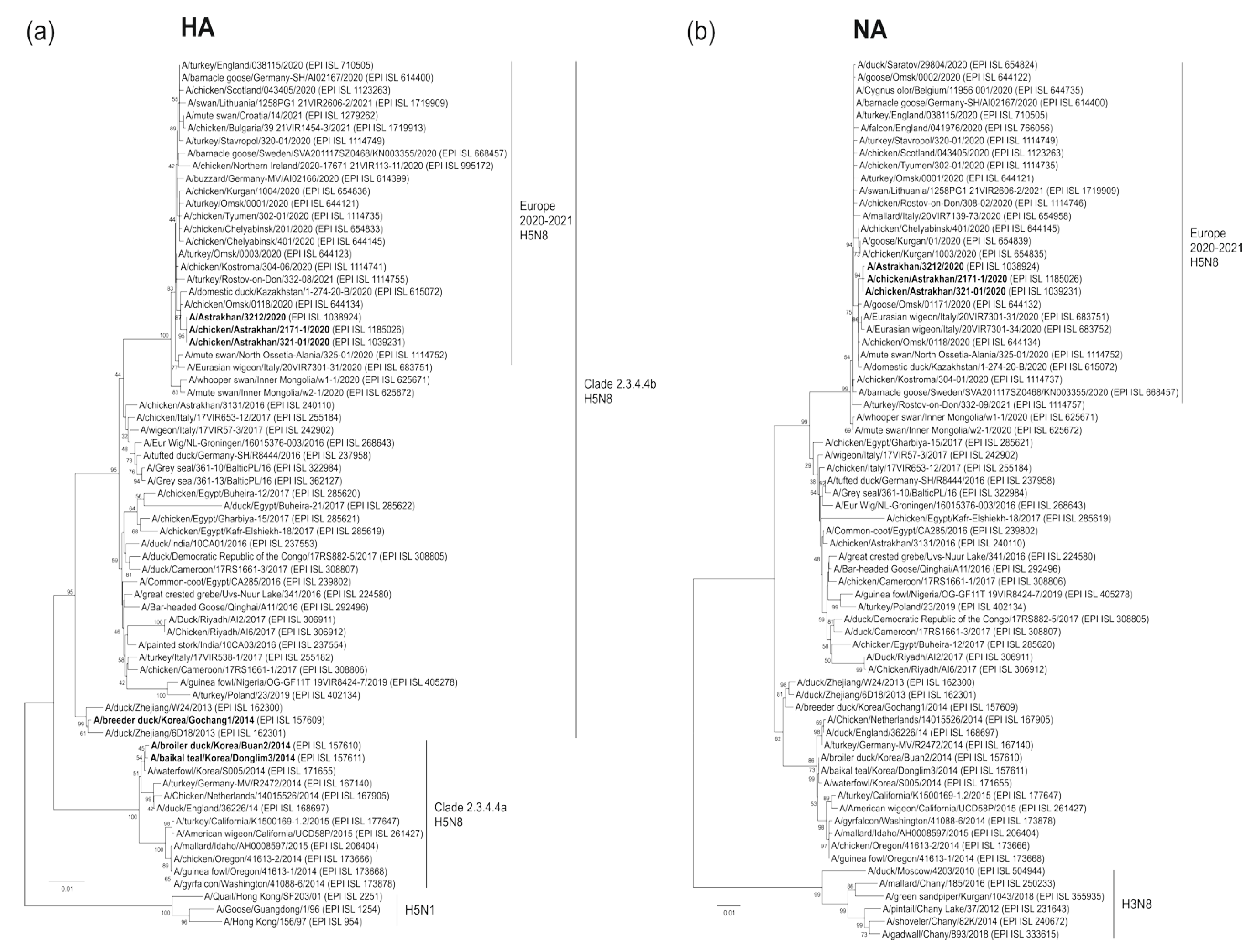 Pathogens 11 00666 g002