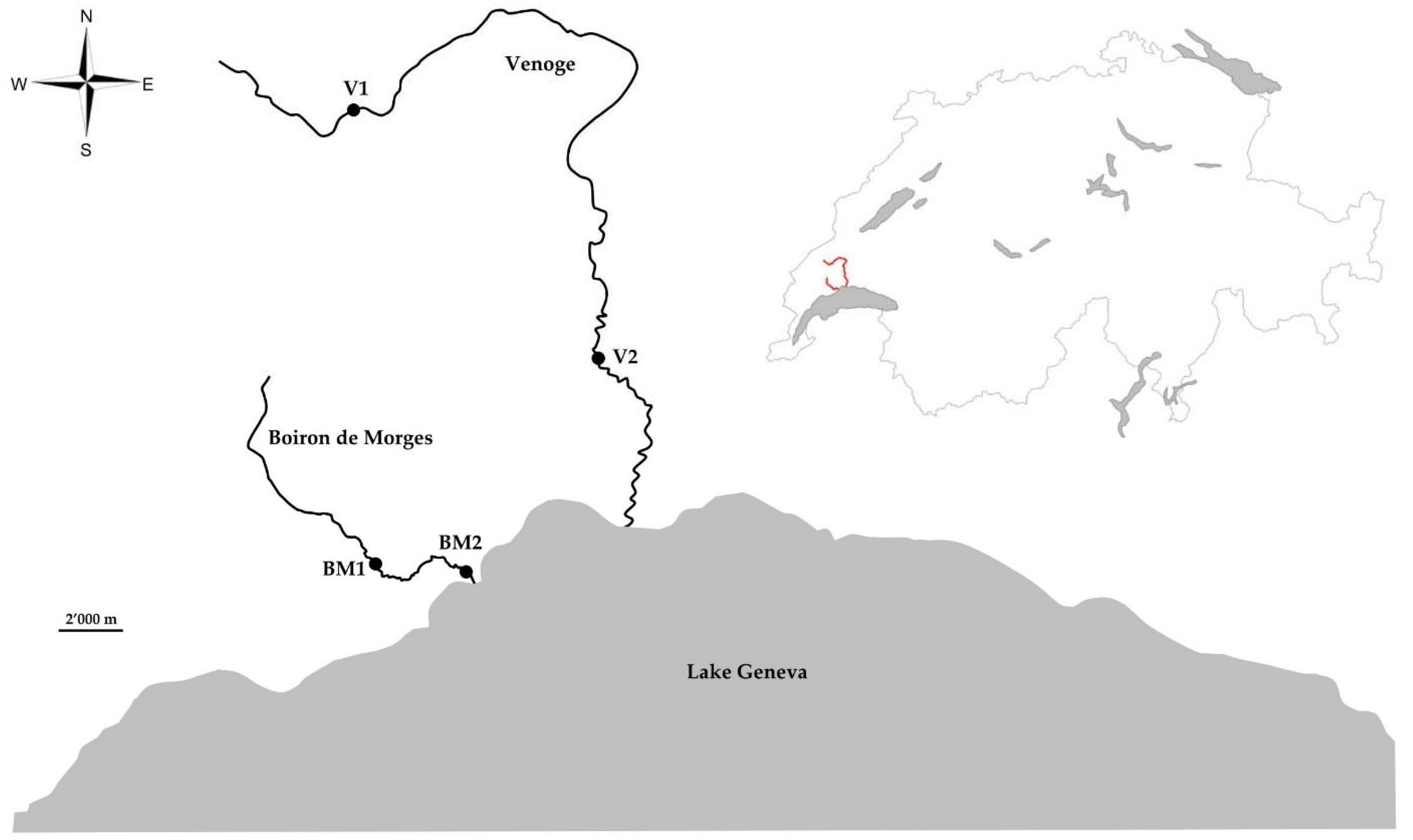 Pathogens 11 00681 g003