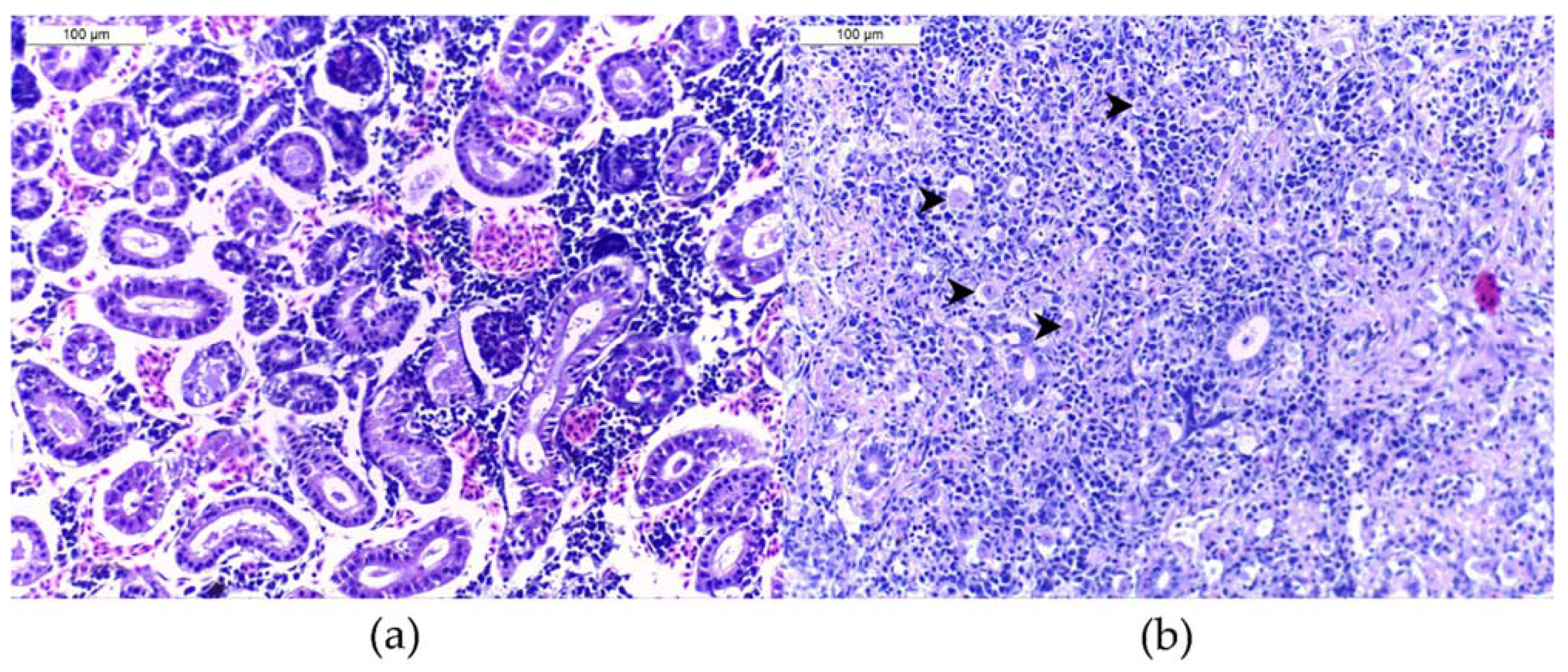Pathogens 11 00681 g004