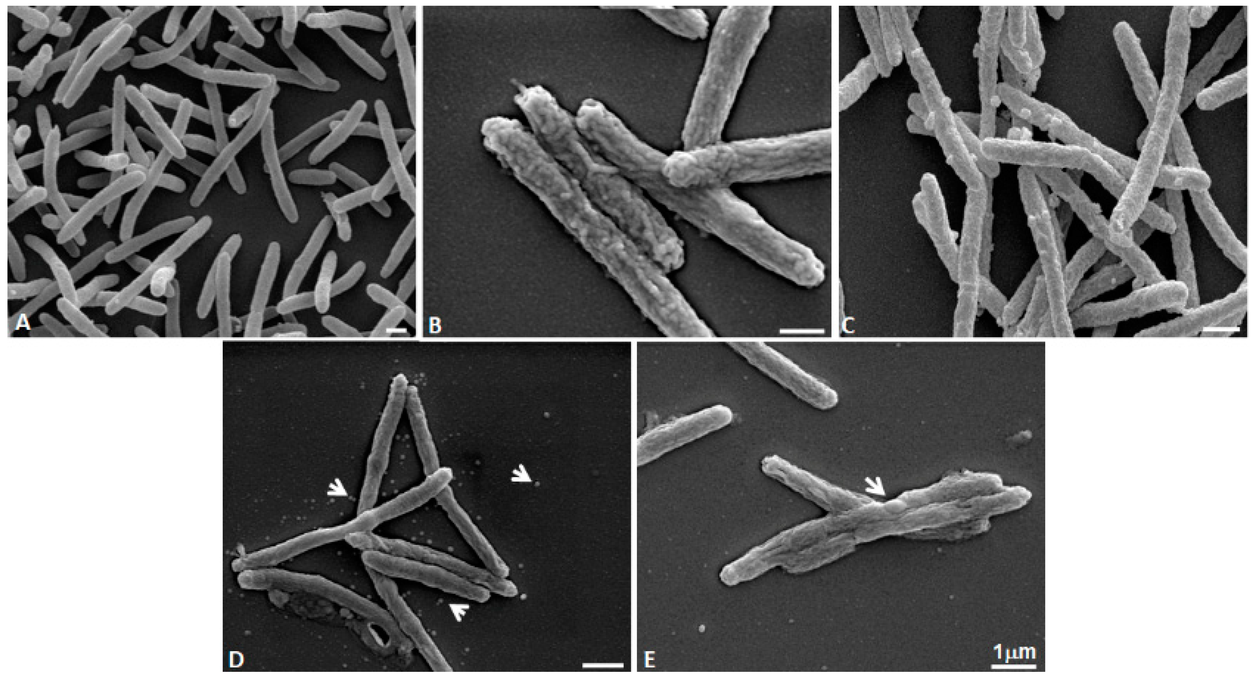 Pathogens 11 00682 g004 Pathogens 11 00682 g004