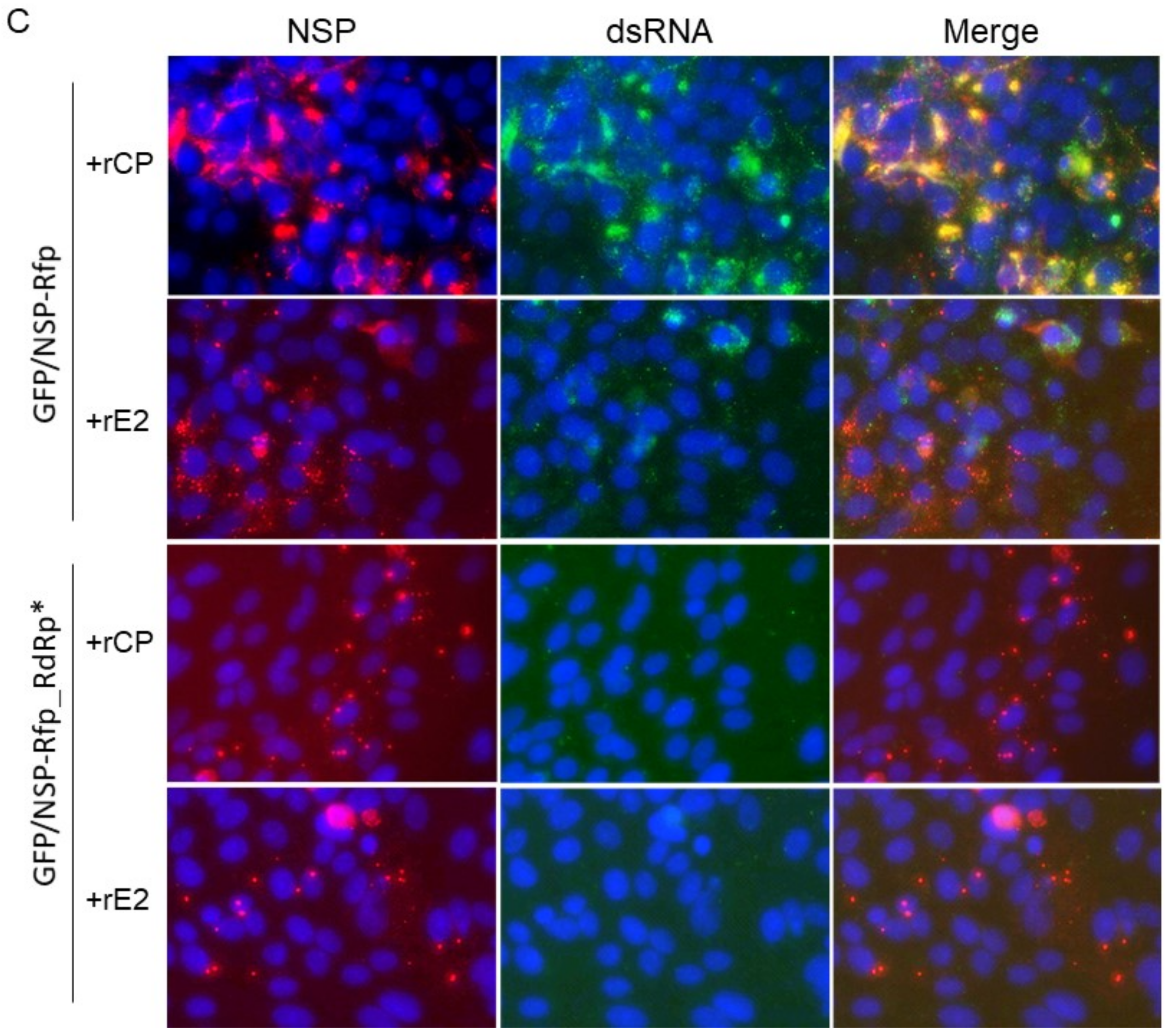 Pathogens 11 00683 g003b