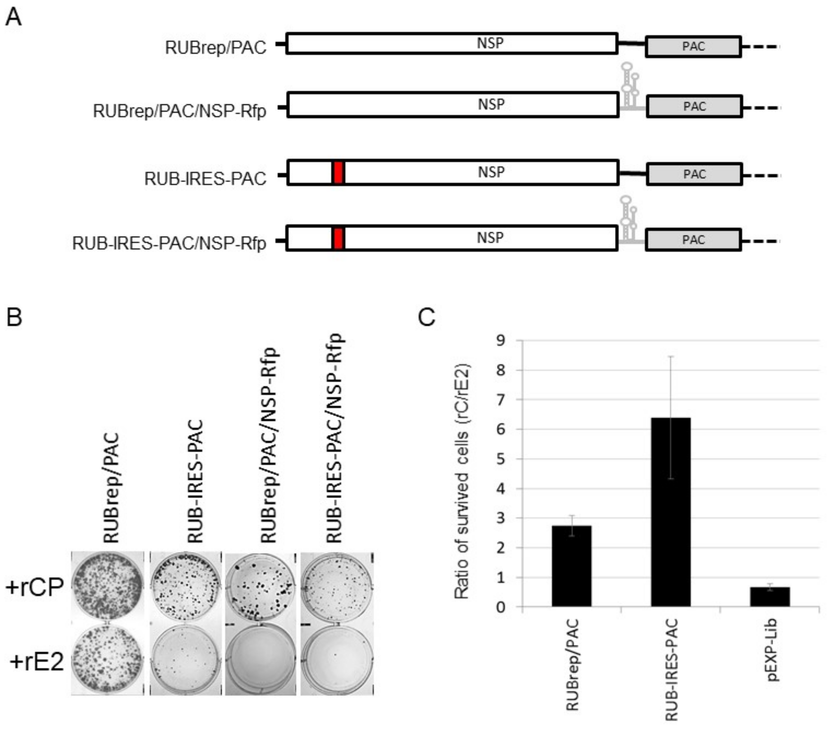 Pathogens 11 00683 g005