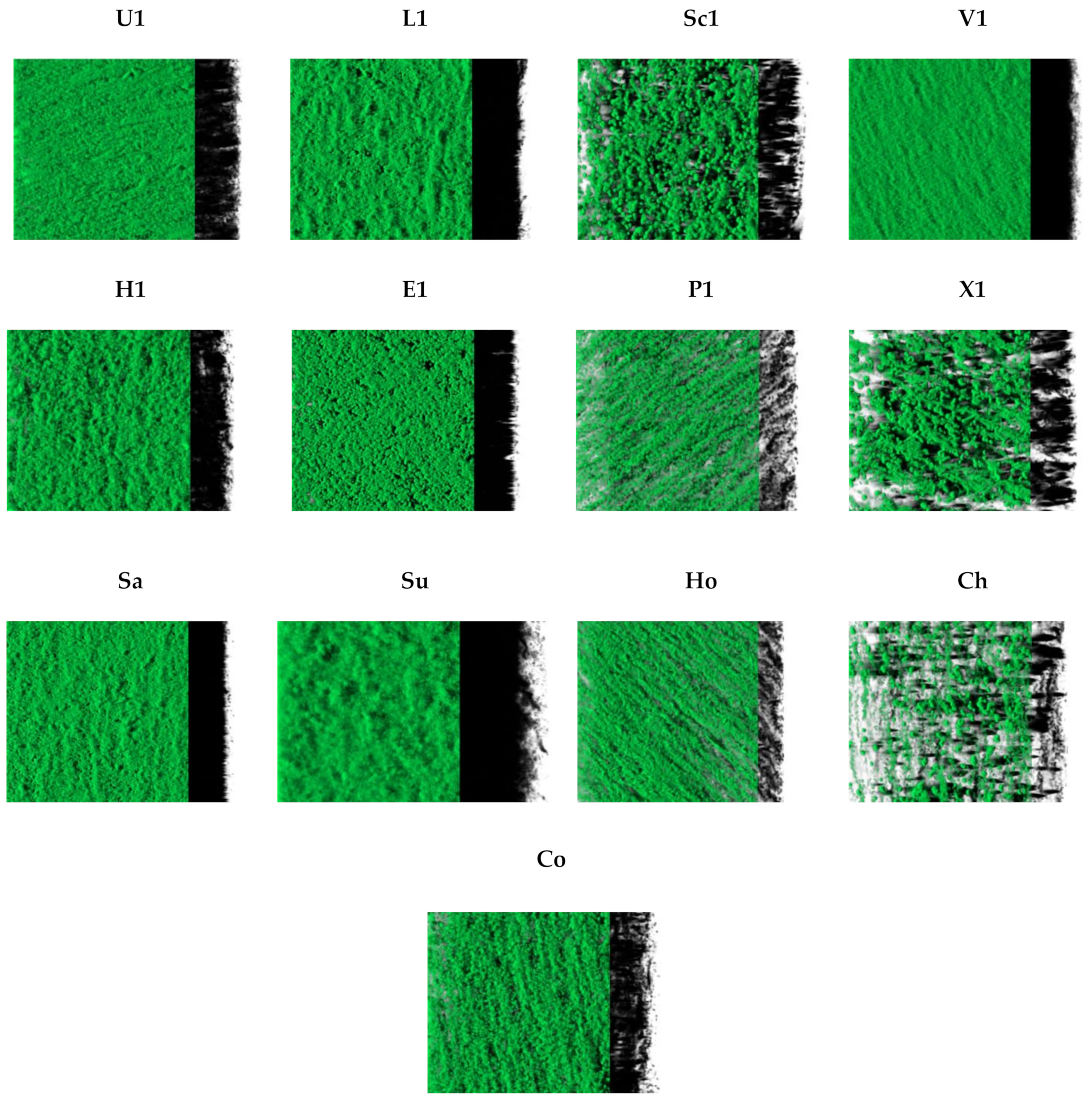Pathogens 11 00689 g003