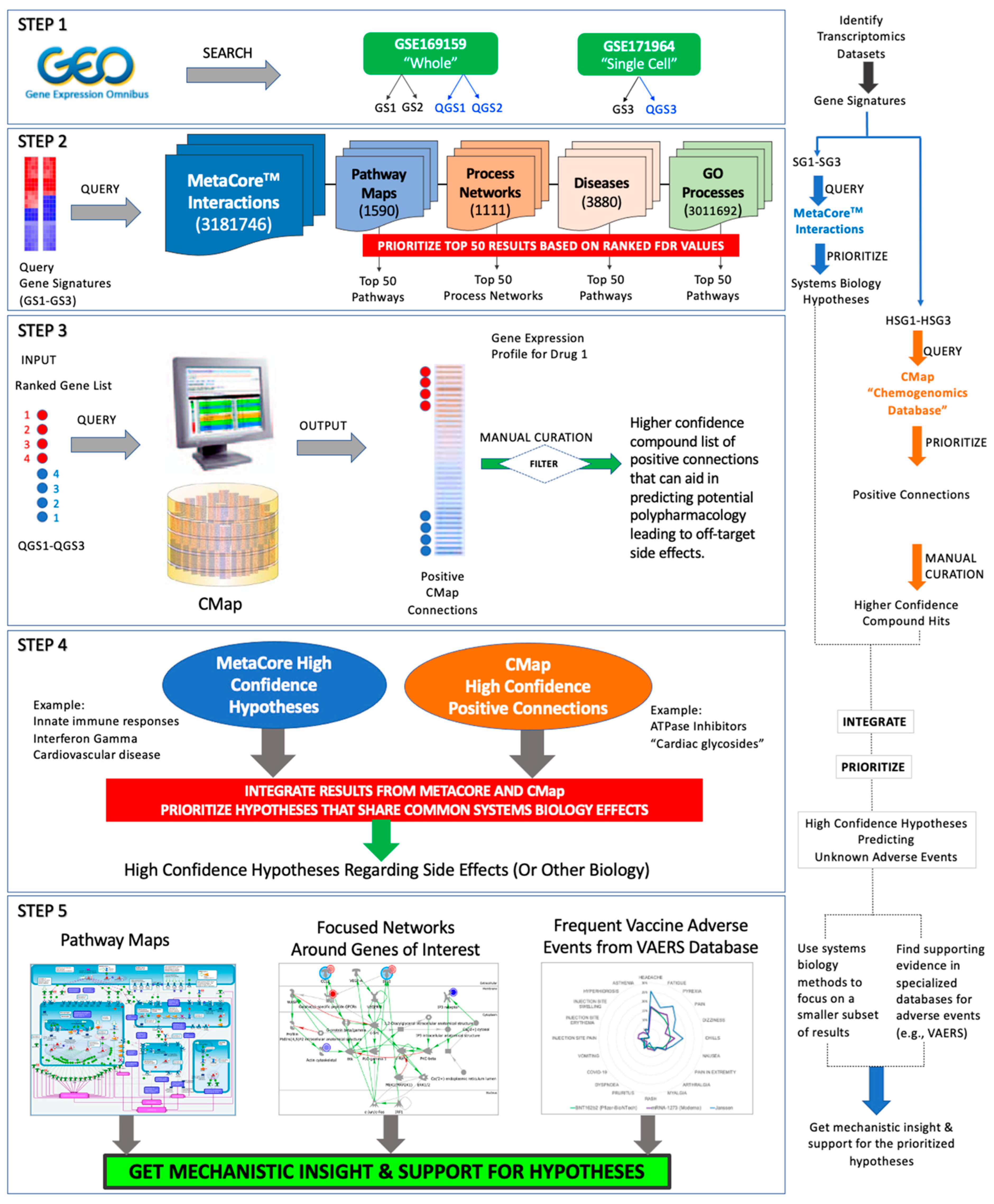 Pathogens 11 00743 g001