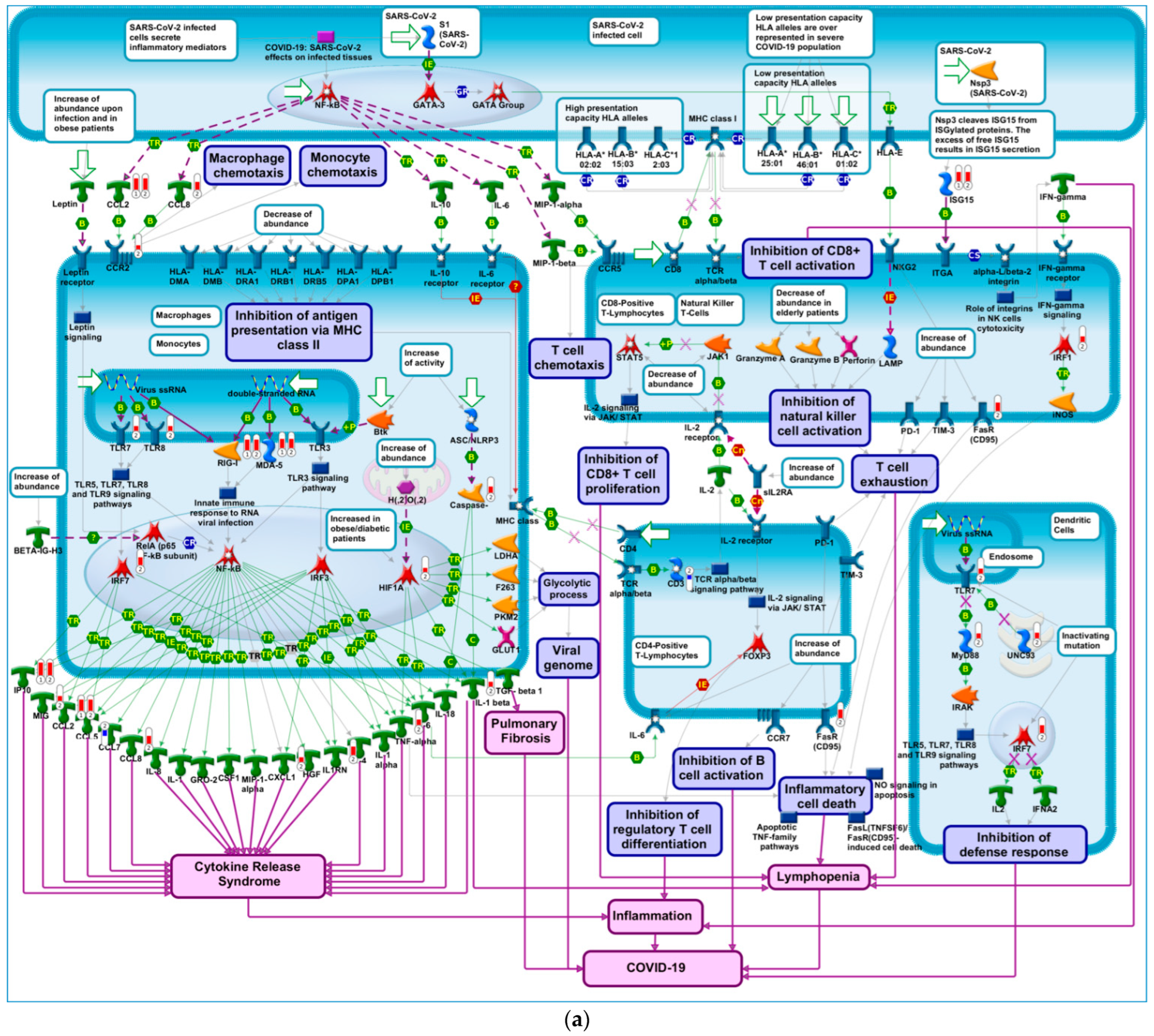 Pathogens | Free Full-Text | Analyzing the Systems Biology Effects of  COVID-19 mRNA Vaccines to Assess Their Safety and Putative Side Effects