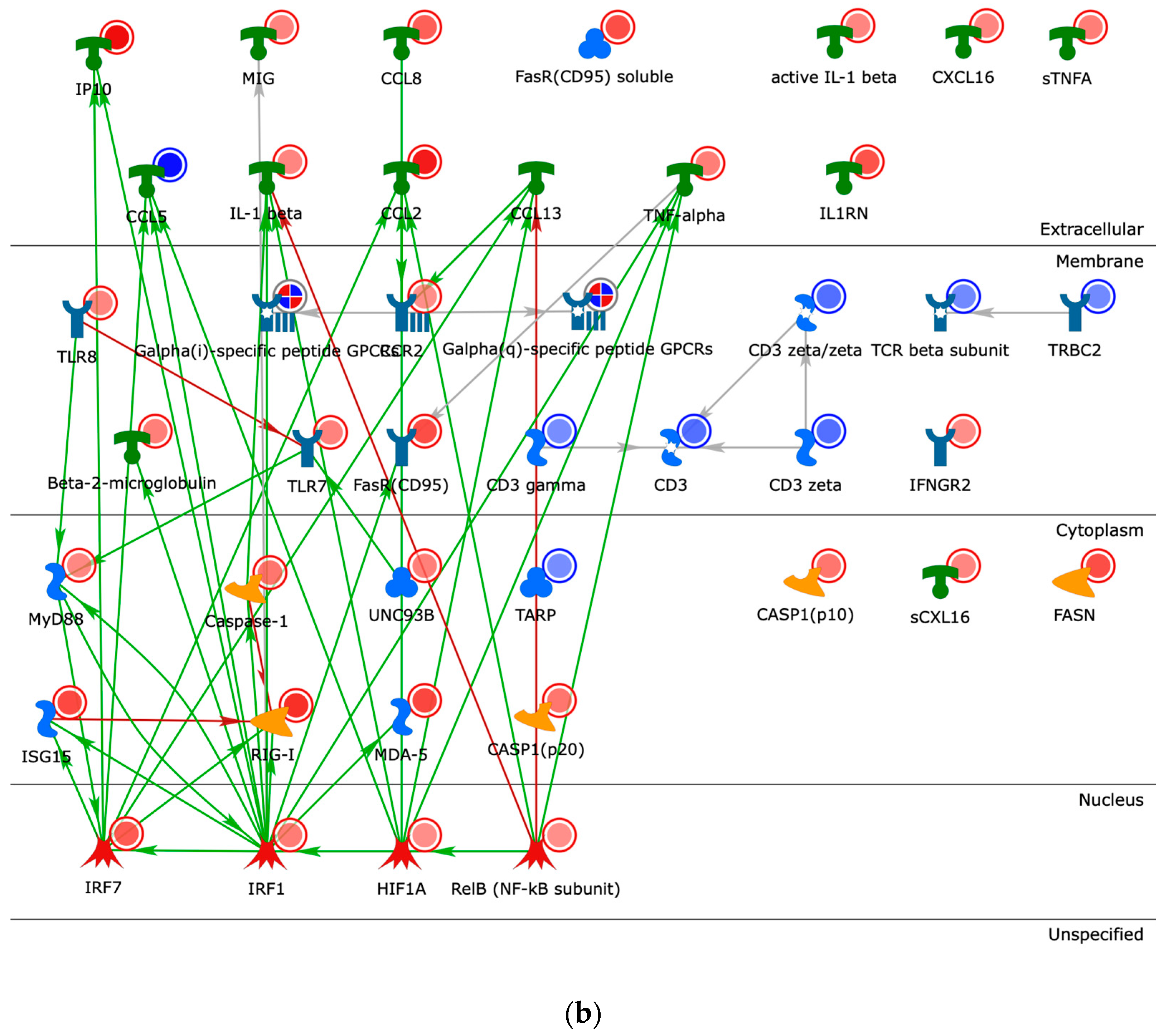 Pathogens 11 00743 g004b