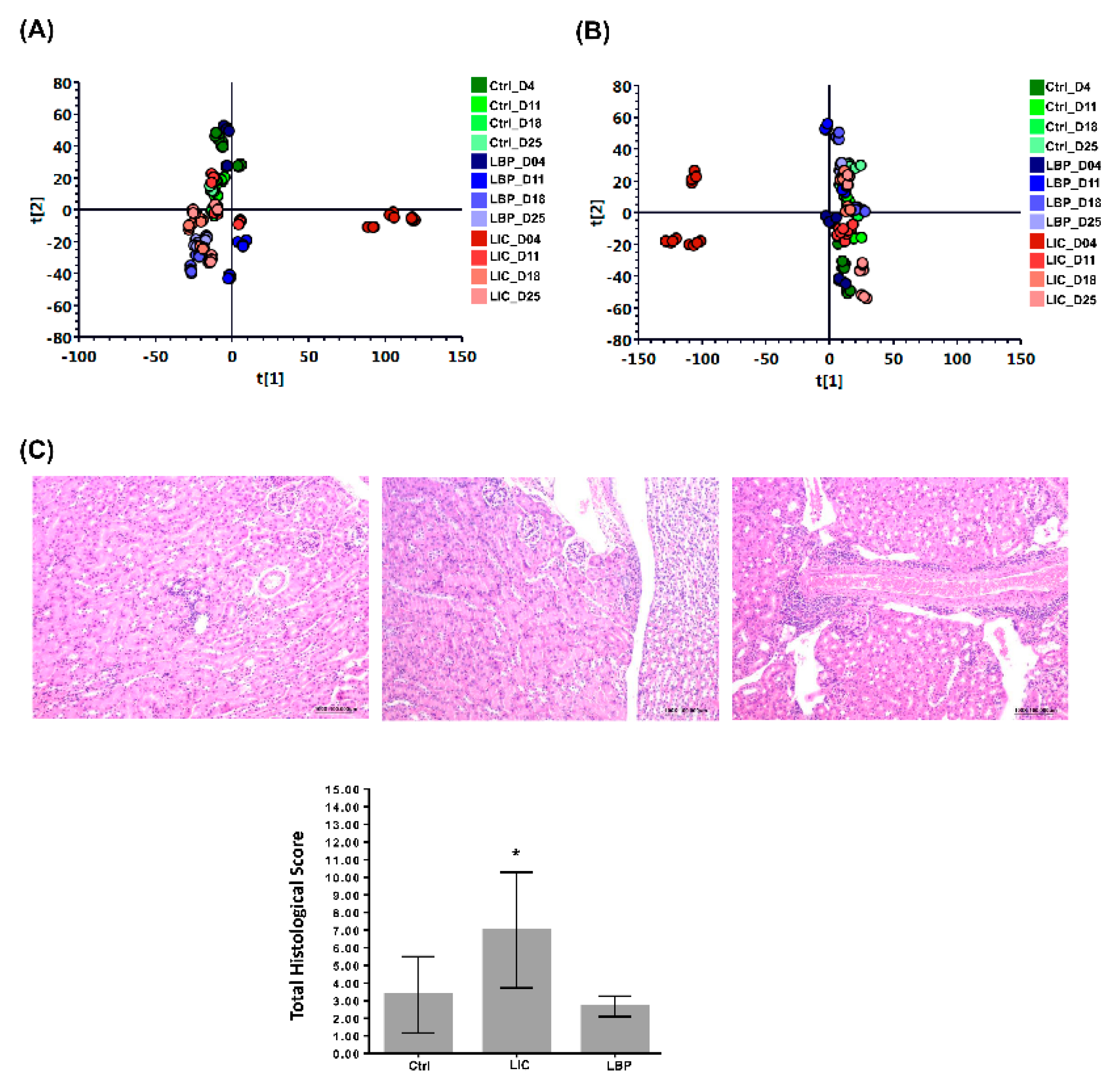 Pathogens 11 00764 g001 Pathogens 11 00764 g001