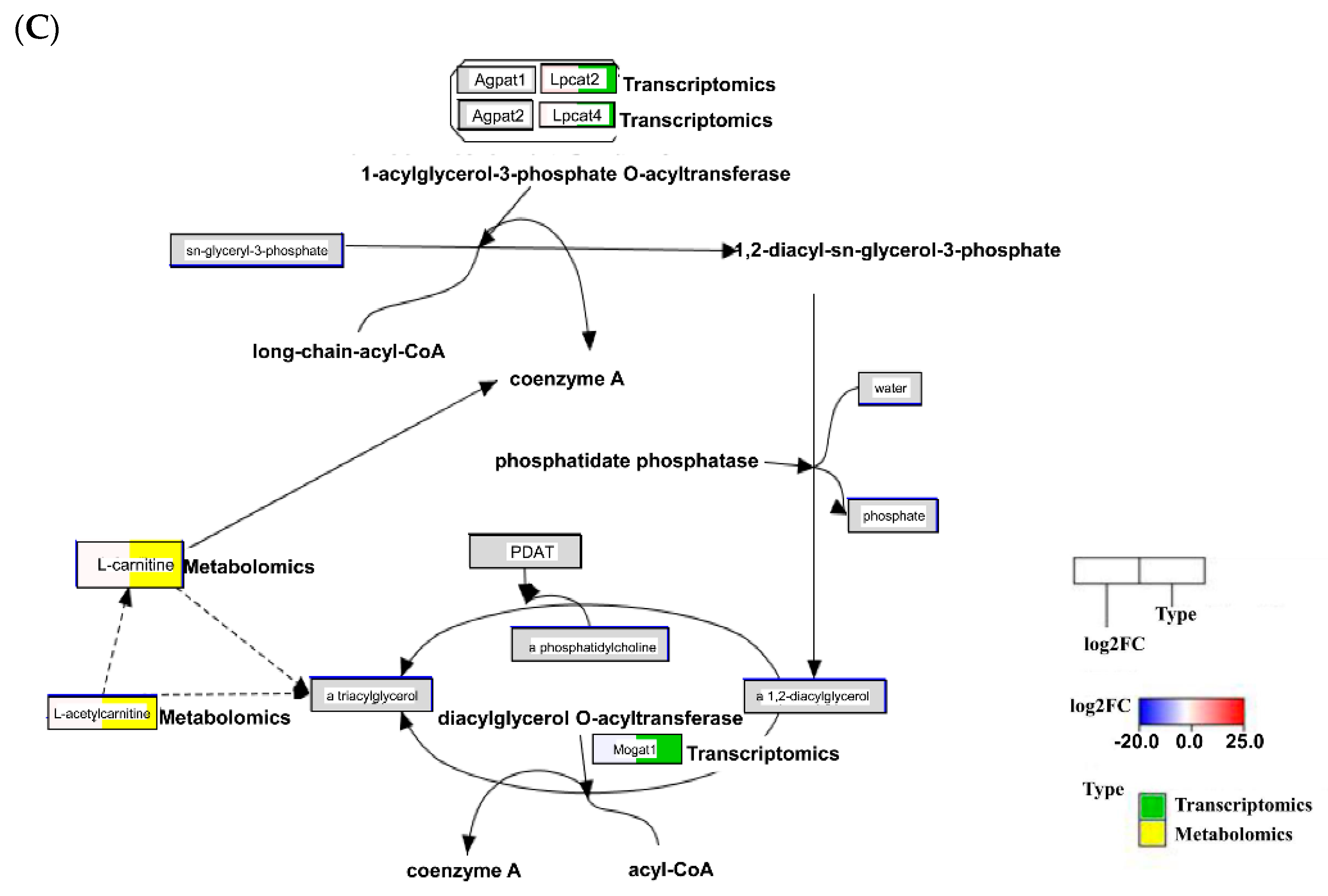 Pathogens 11 00764 g007b Pathogens 11 00764 g007b