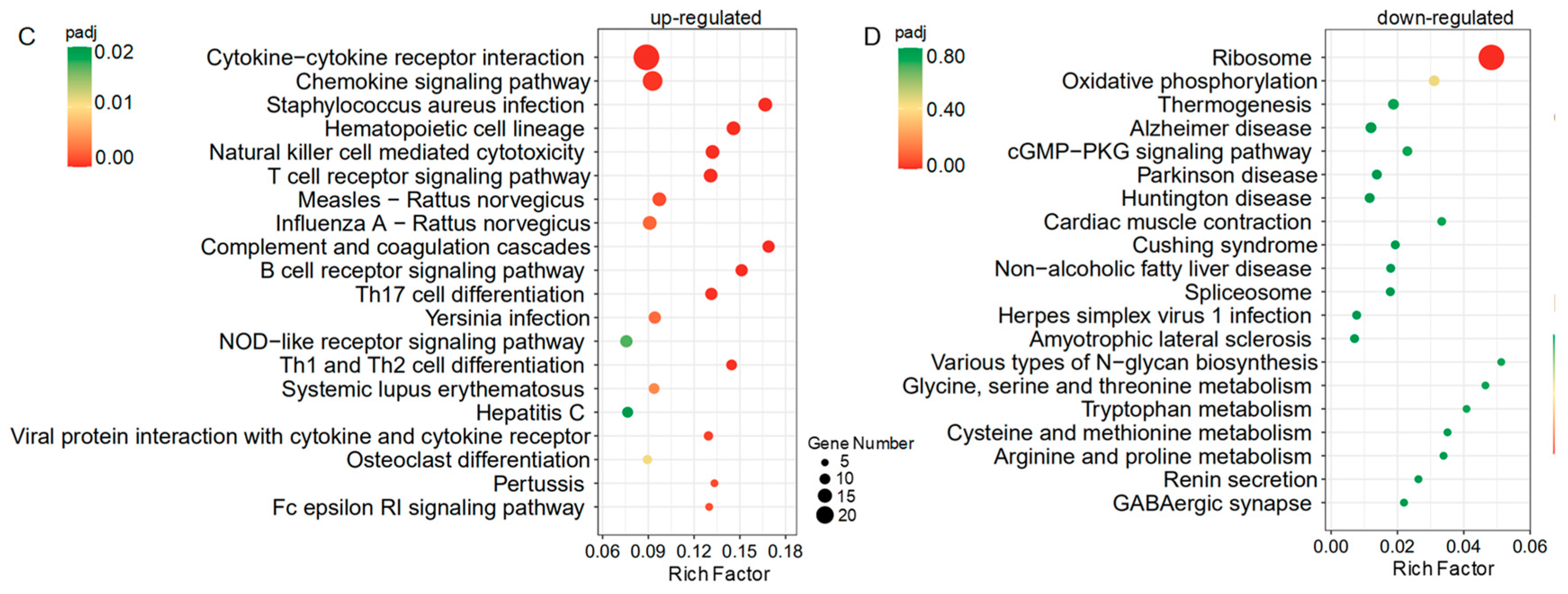 Pathogens 11 00784 g005b Pathogens 11 00784 g005b