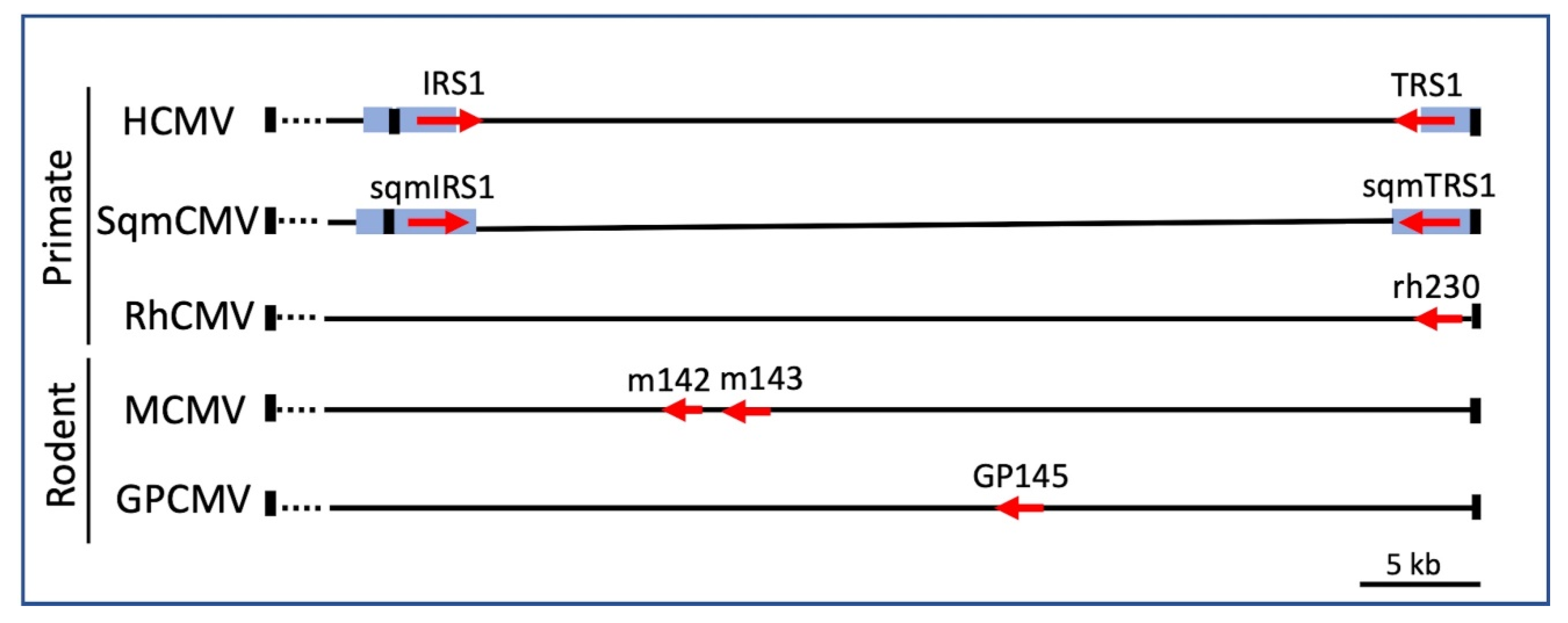 Pathogens 11 00790 g002