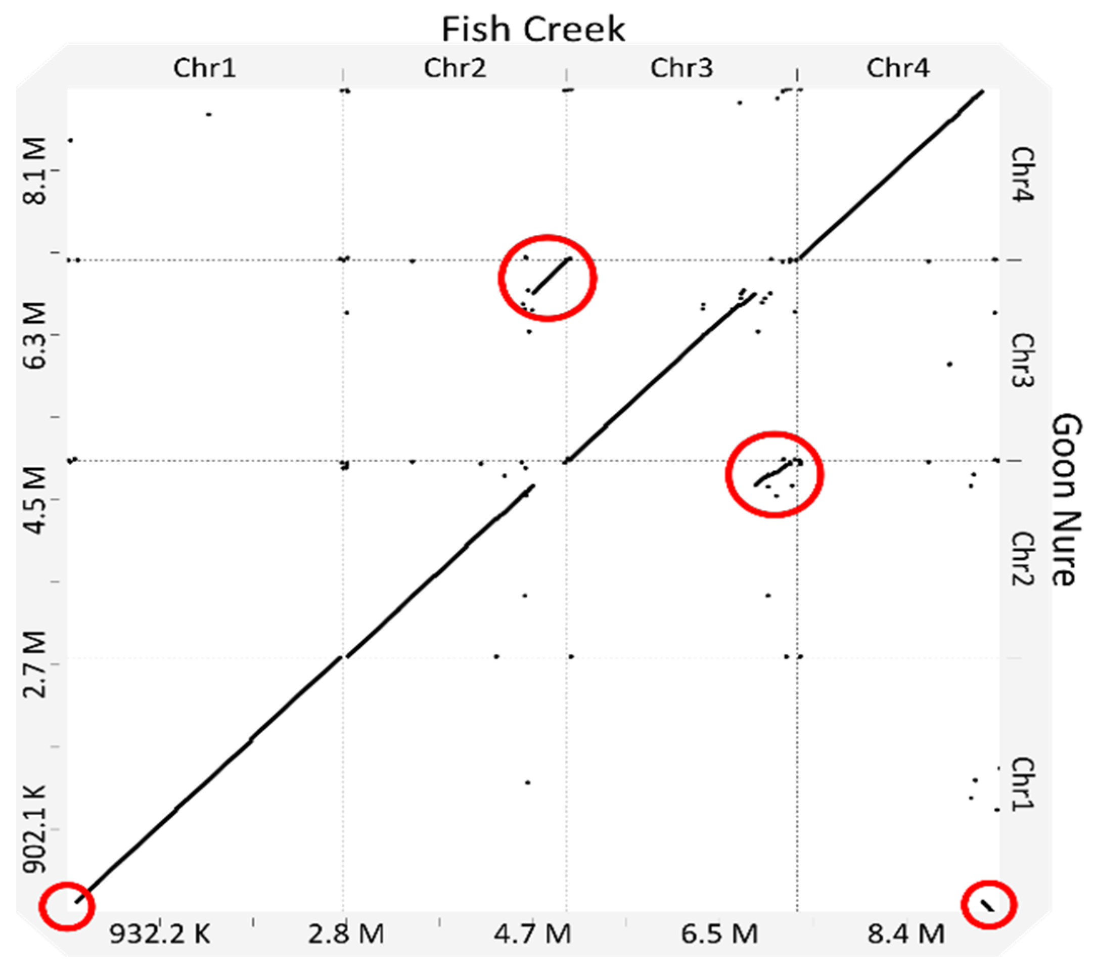 Pathogens 11 00801 g002b