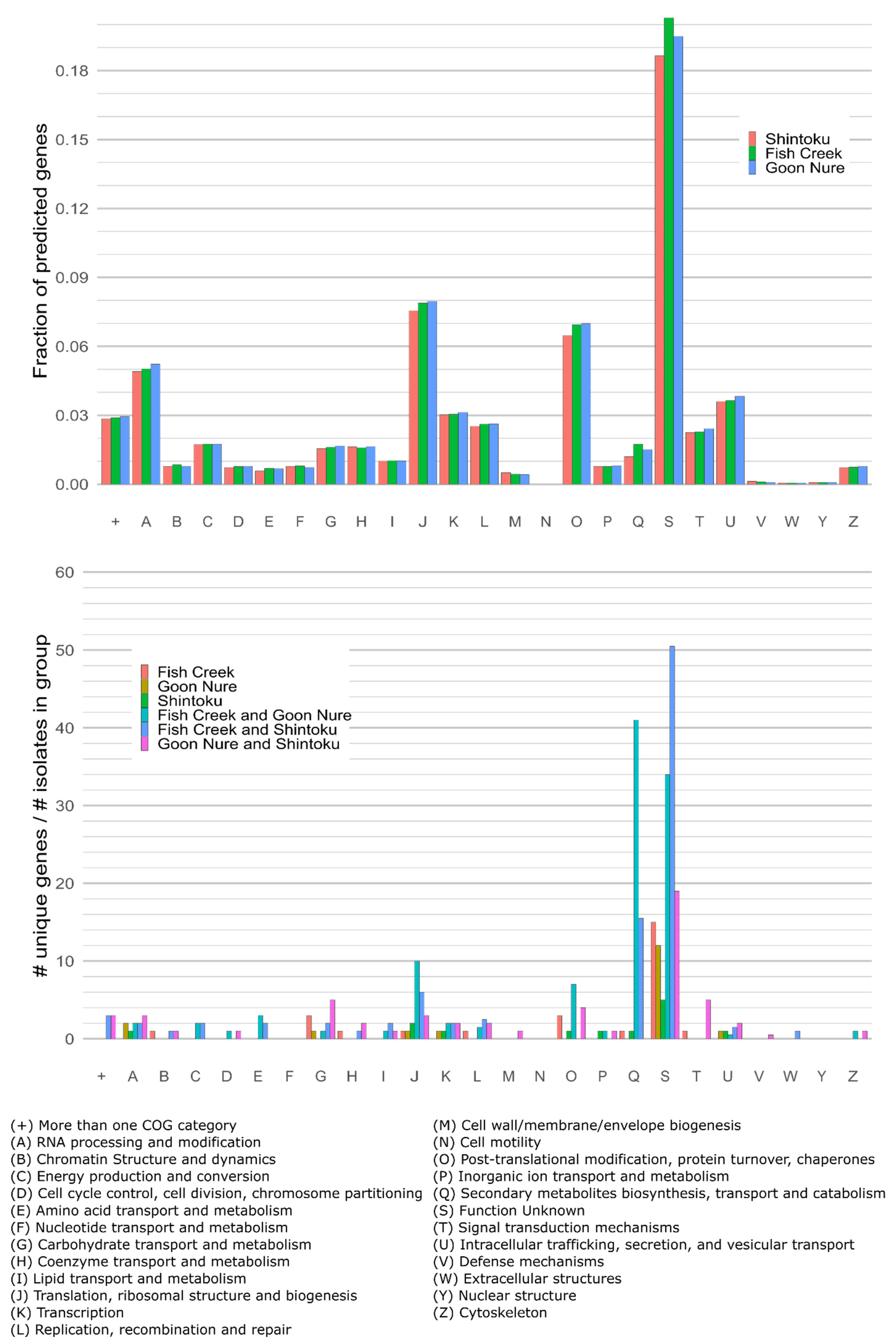 Pathogens 11 00801 g004