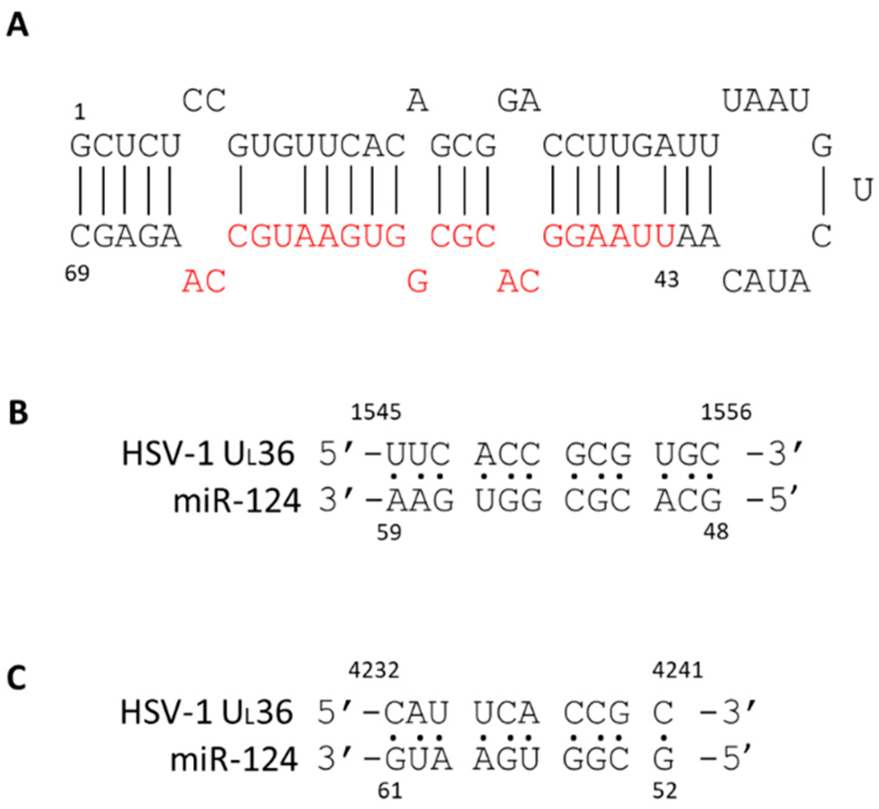 Pathogens 11 00803 g008 Pathogens 11 00803 g008