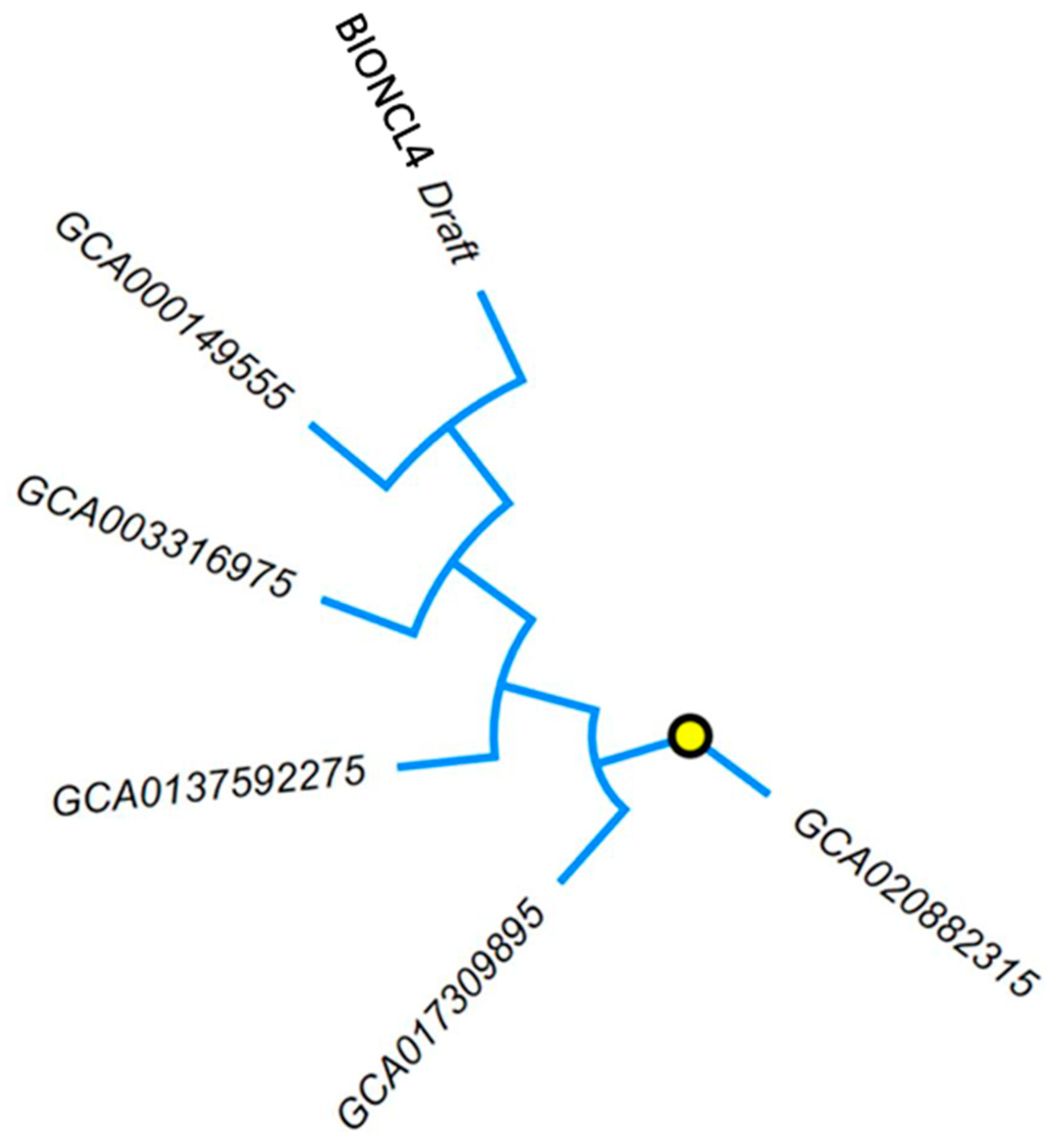 Pathogens 11 00810 g005 Pathogens 11 00810 g005
