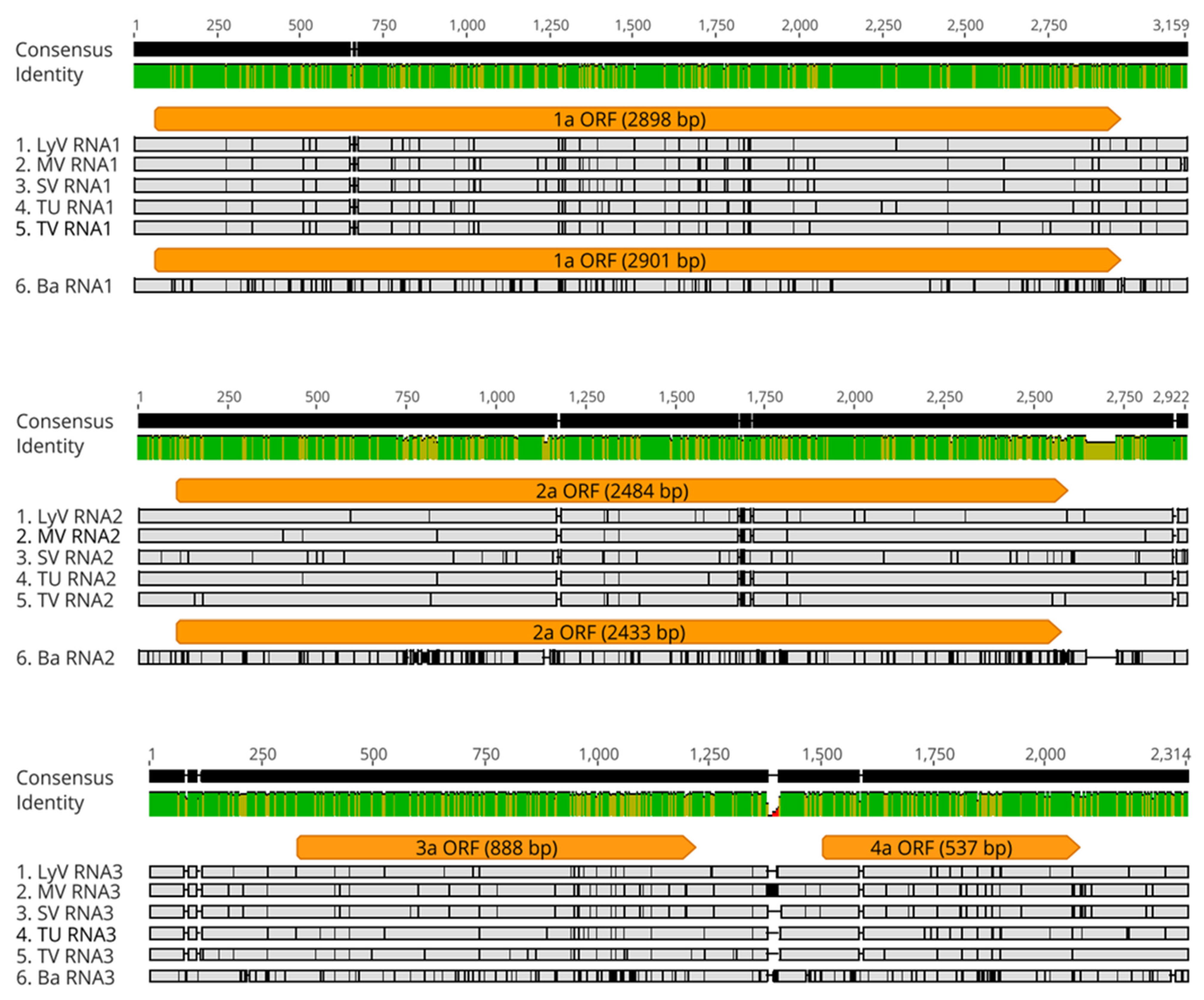 Pathogens 11 00817 g003 Pathogens 11 00817 g003