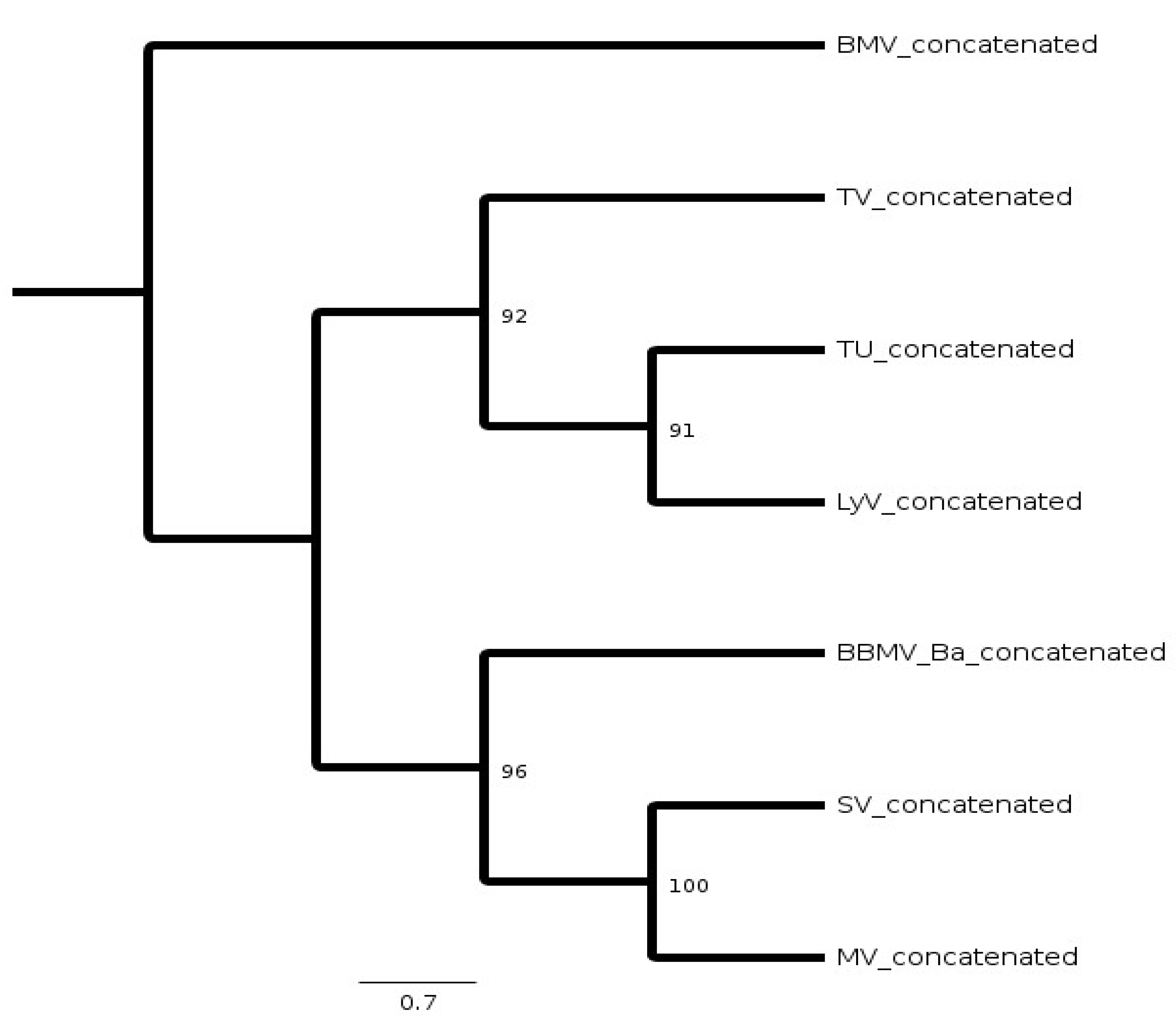 Pathogens 11 00817 g006 Pathogens 11 00817 g006