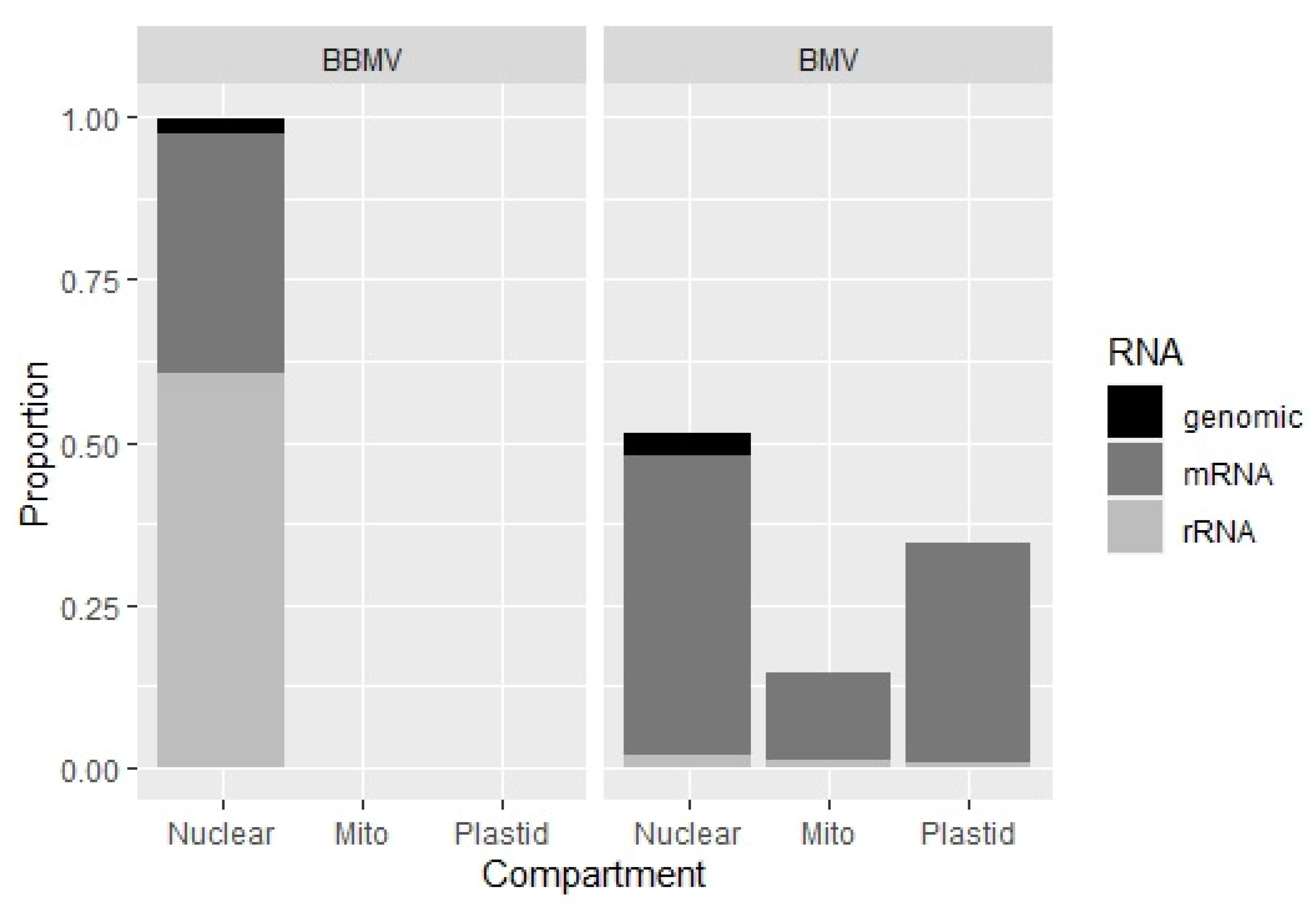 Pathogens 11 00817 g007 Pathogens 11 00817 g007