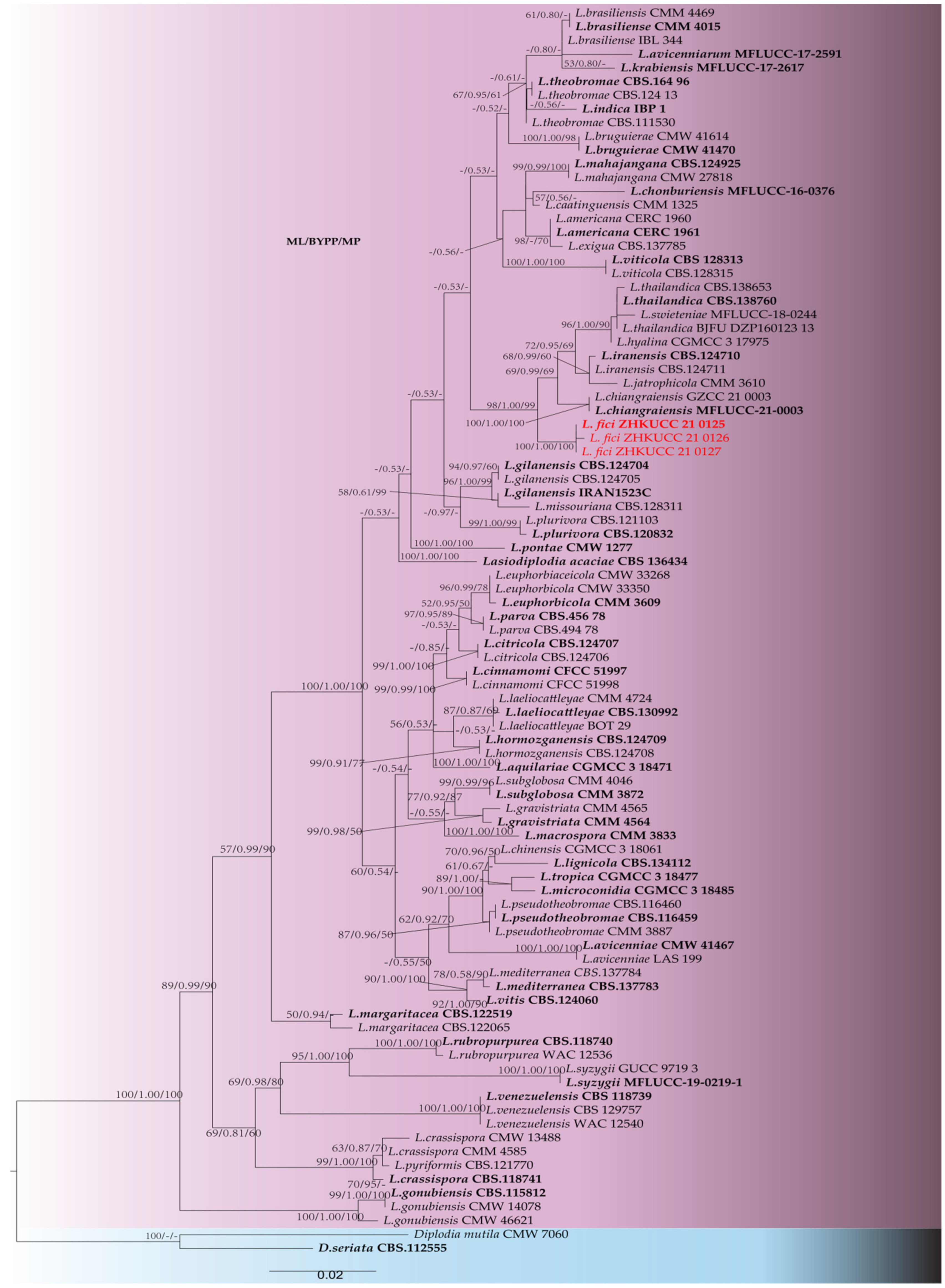 Pathogens 11 00840 g002