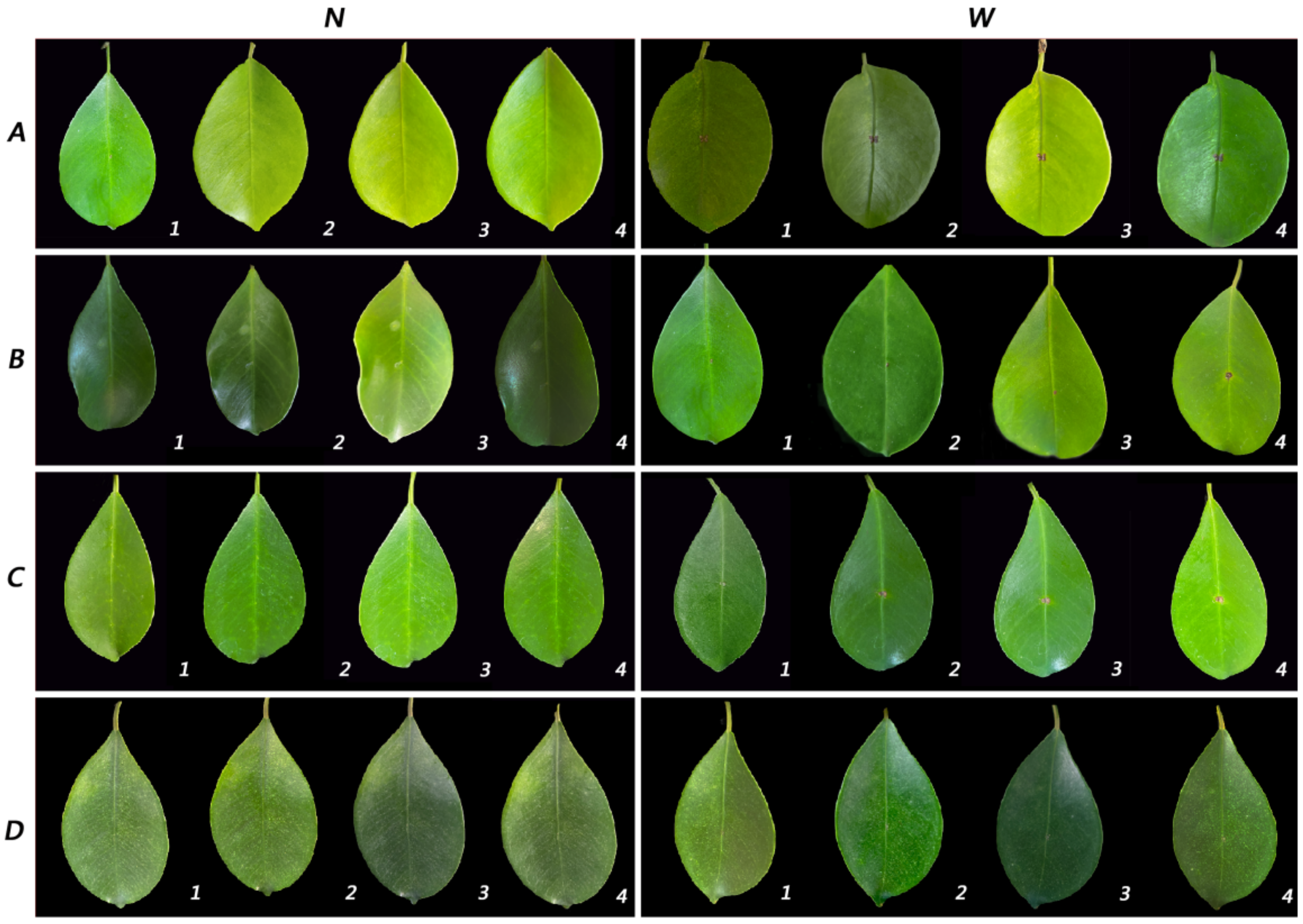Pathogens 11 00840 g005