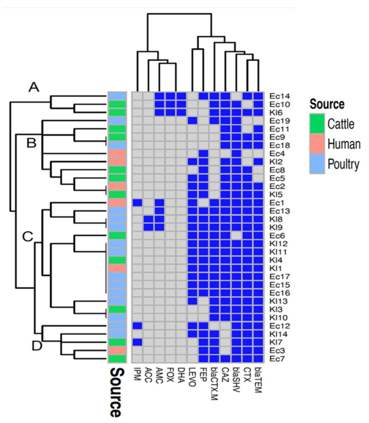 Sequence type diversity and population structure of ESBL-producing