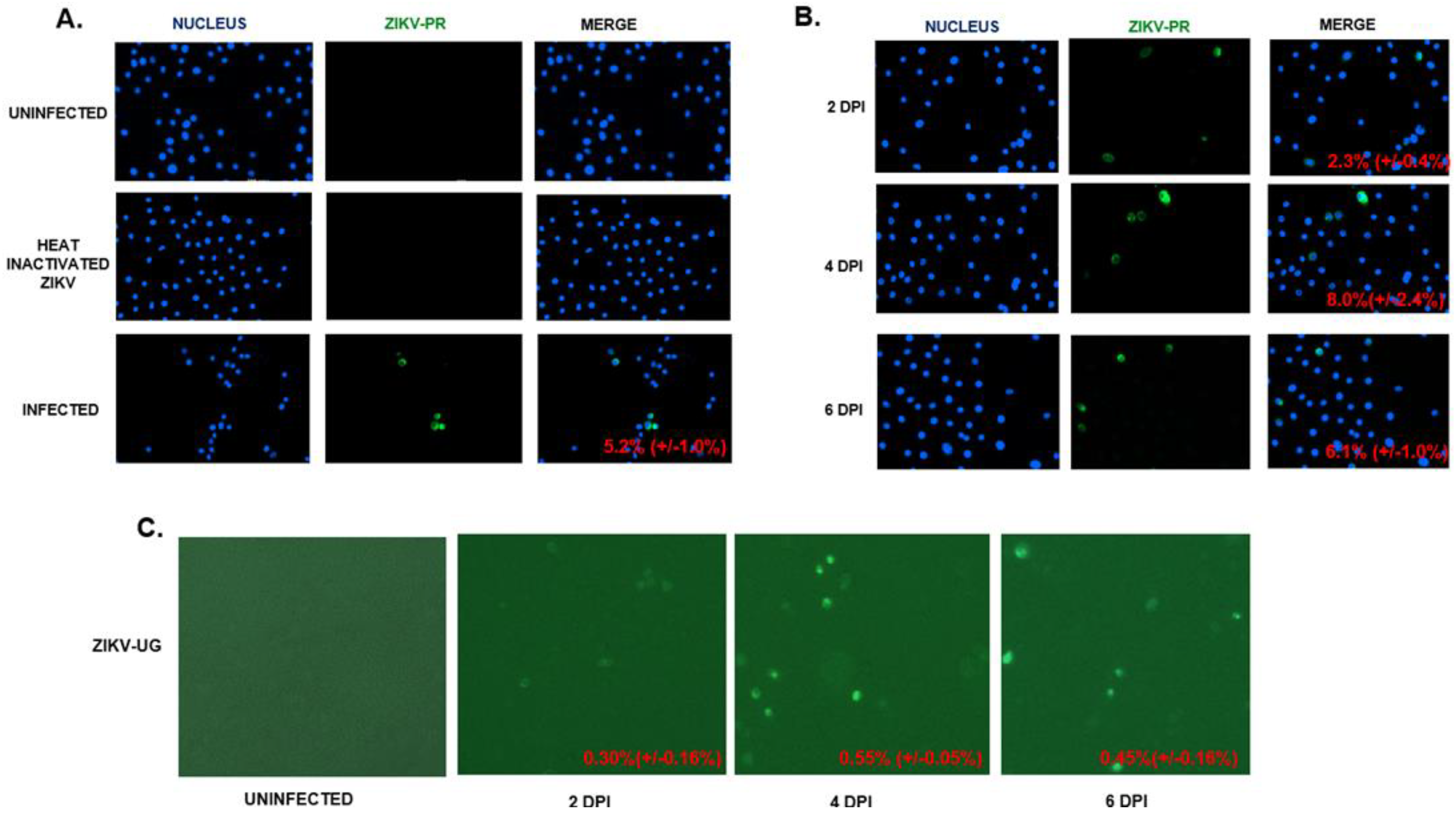 Pathogens 11 00853 g002
