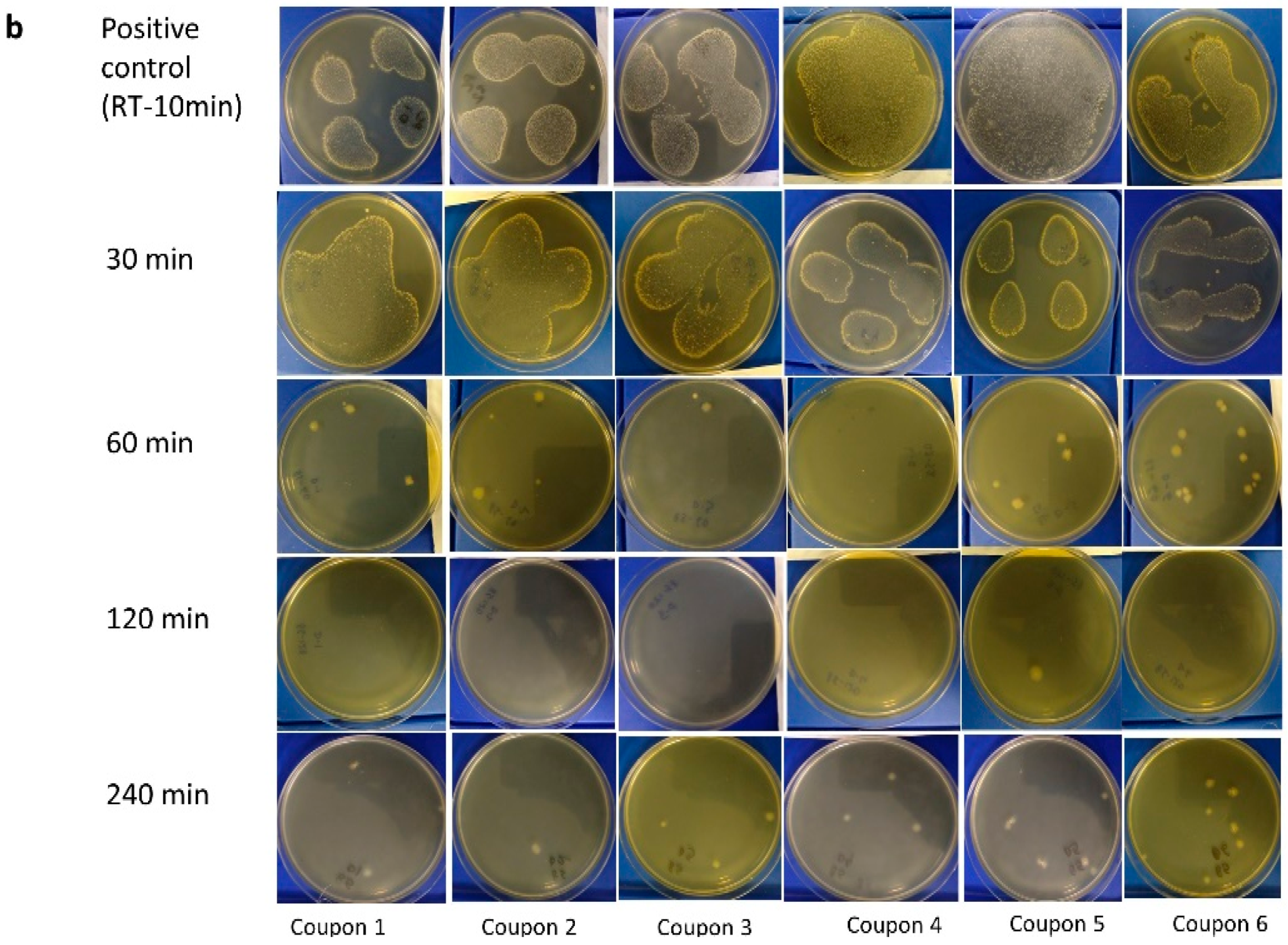 Pathogens 11 00871 g002b