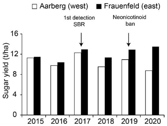 Pathogens | Free Full-Text | Virus Yellows and Syndrome &ldquo;Basses  Richesses&rdquo; in Western Switzerland: A Dramatic 2020 Season Calls for  Urgent Control Measures