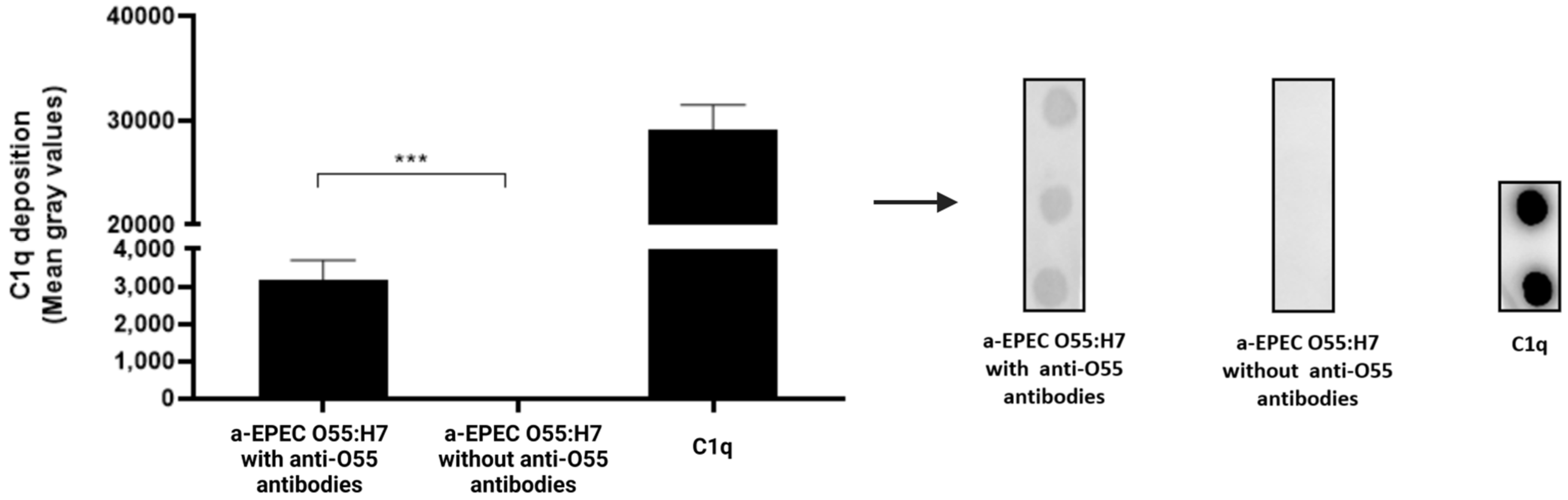 Pathogens 11 00895 g004 Pathogens 11 00895 g004