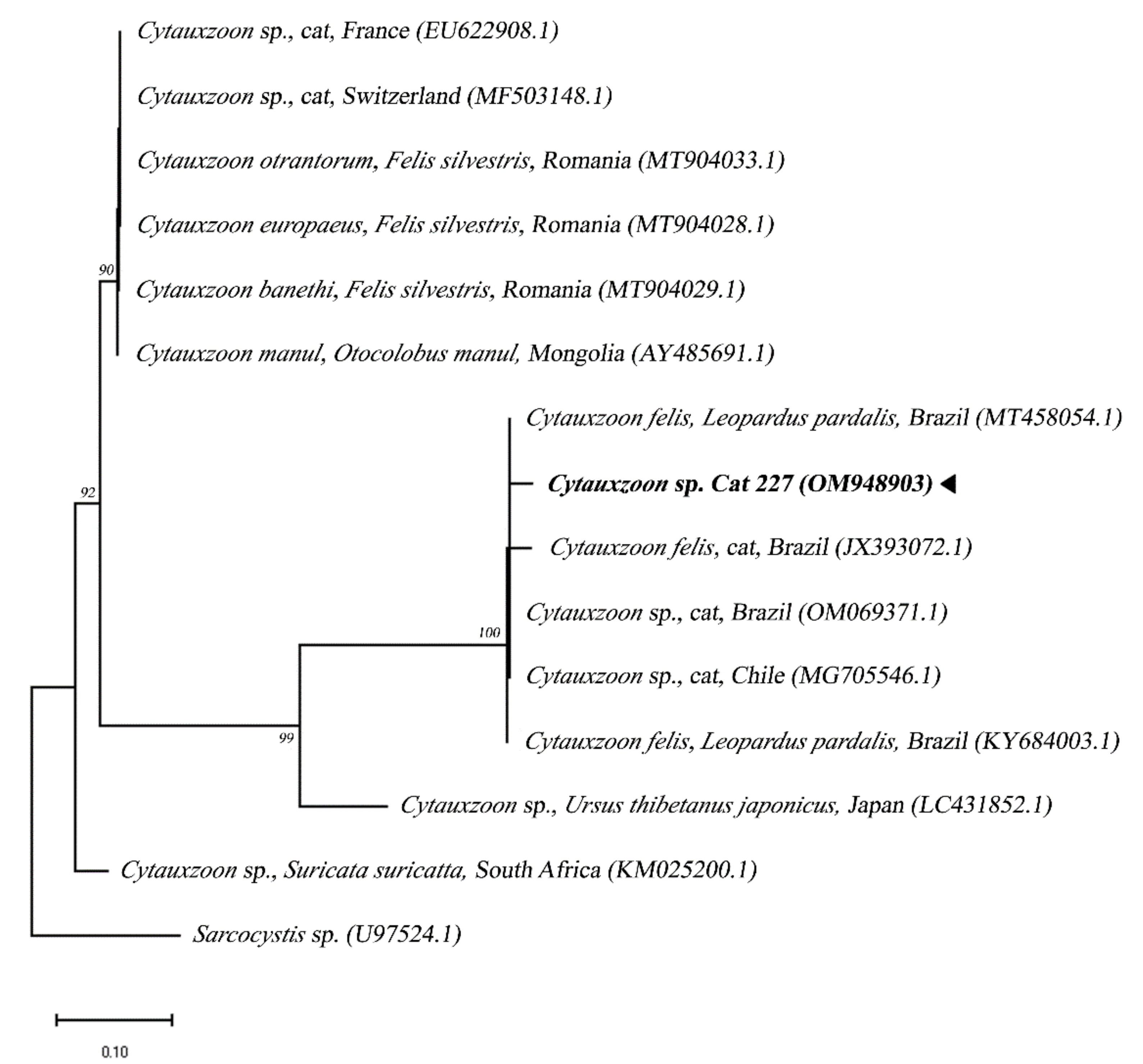Pathogens | Free Full-Text | Piroplasm Infection in Domestic Cats