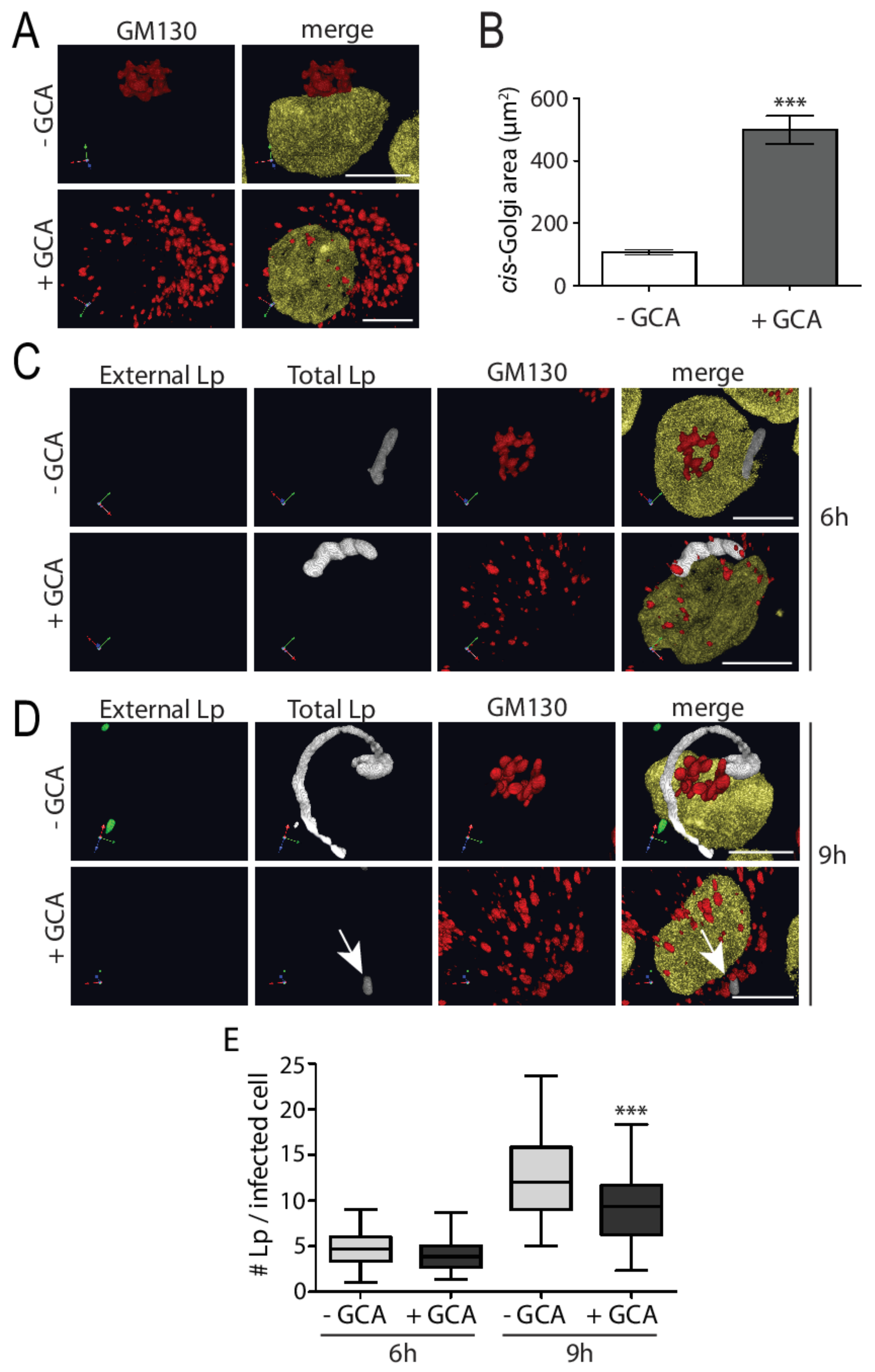 Pathogens 11 00908 g003