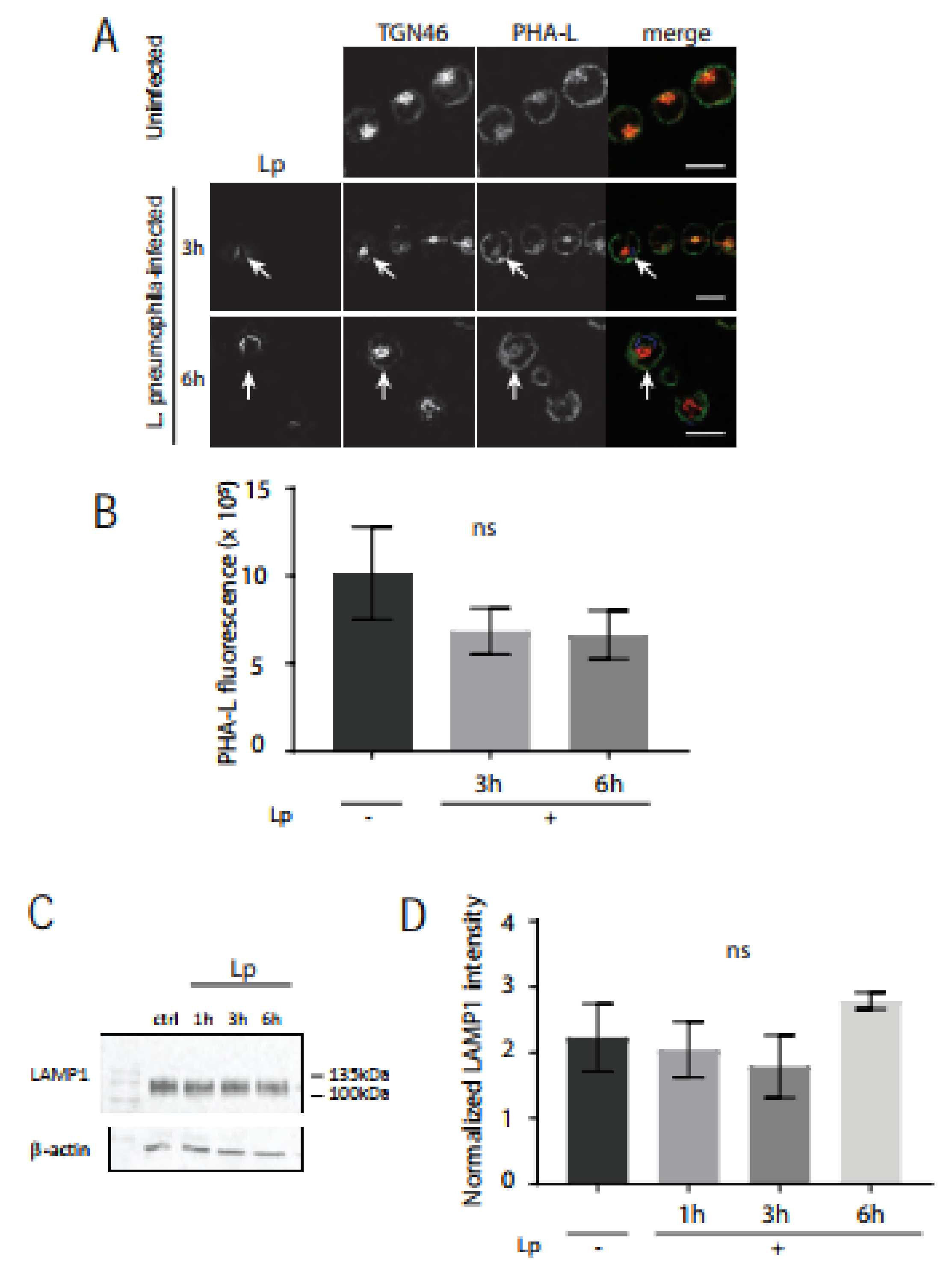Pathogens 11 00908 g005