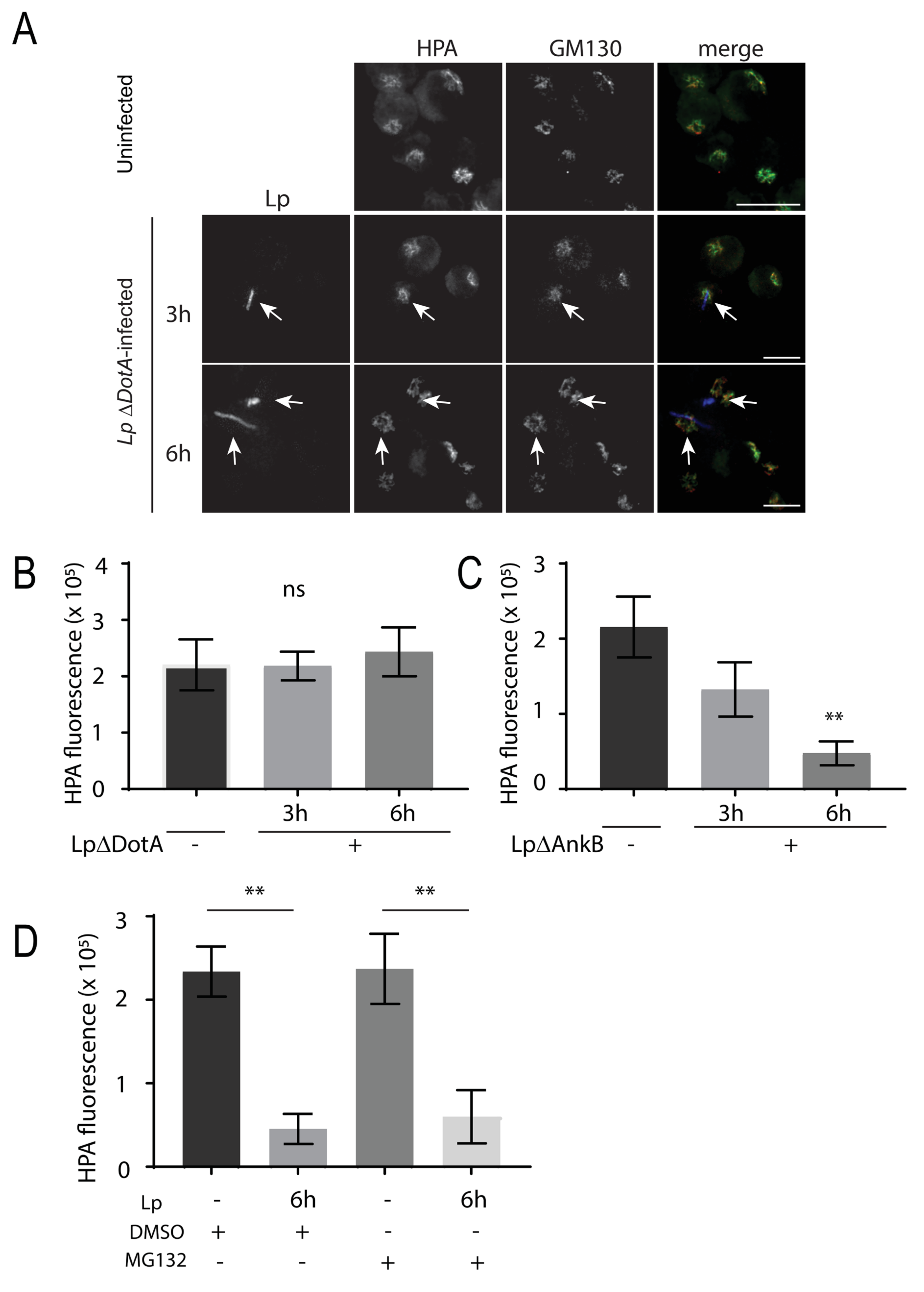 Pathogens 11 00908 g007