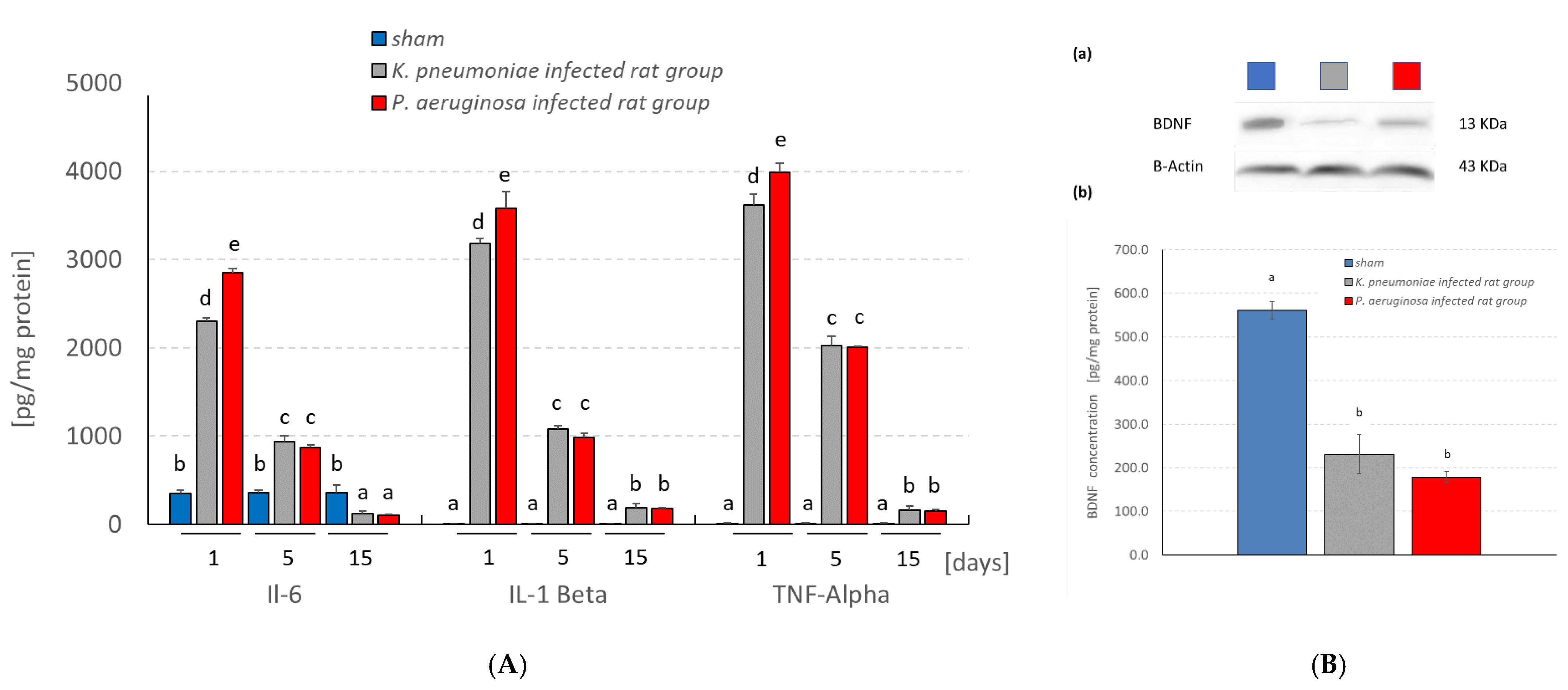 Pathogens 11 00933 g004